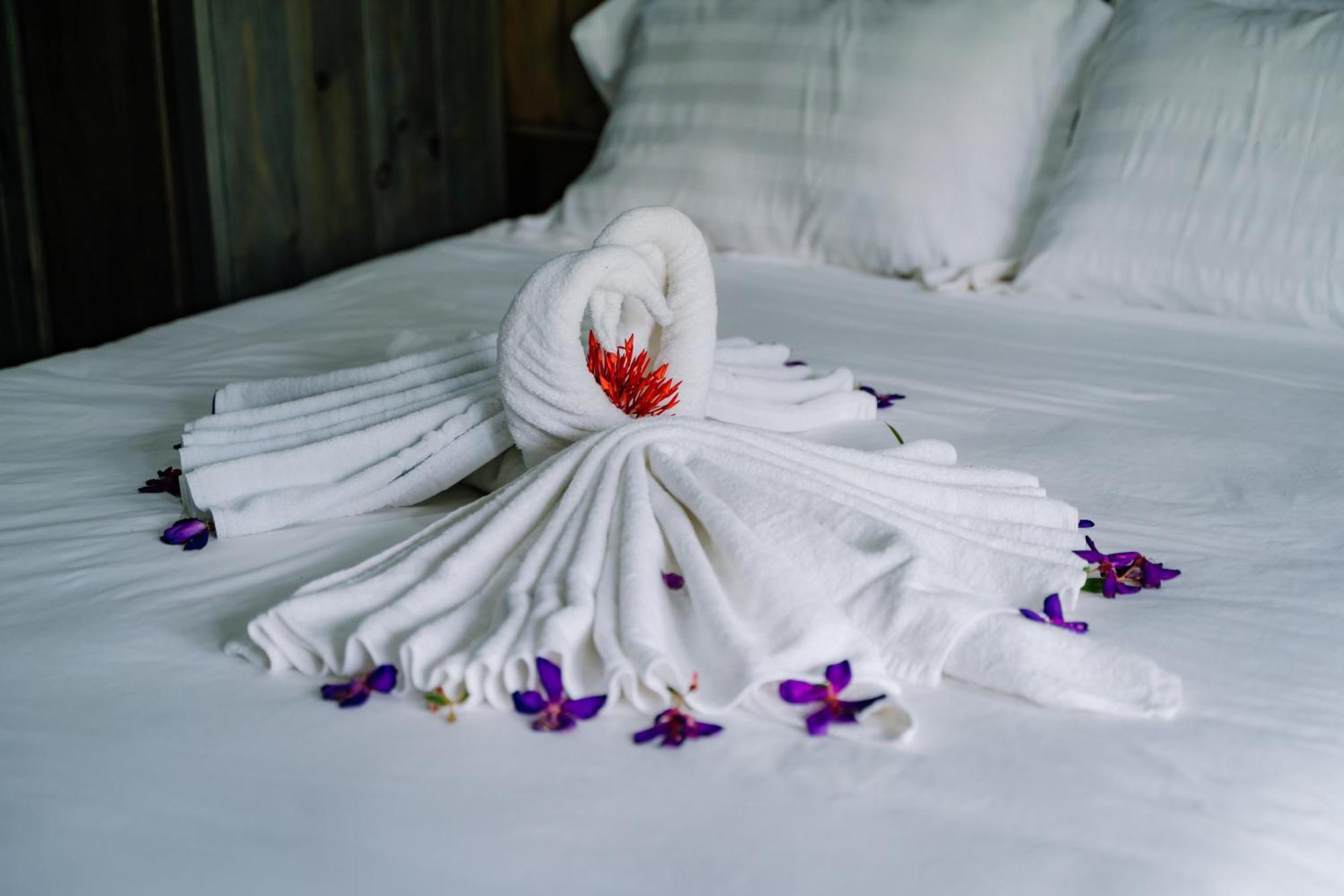 Bed & Breakfast Xanh Retreat - Trekking, Tour, Motorbike Ha Giang