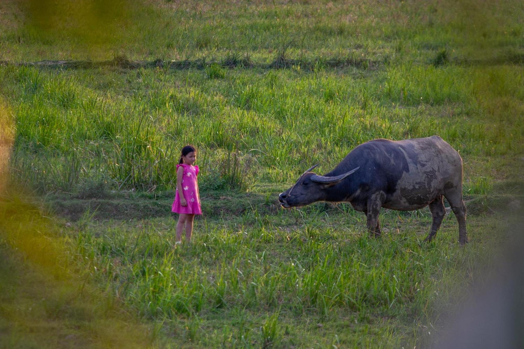 Resort Phong Nha Farmstay Phong Nha
