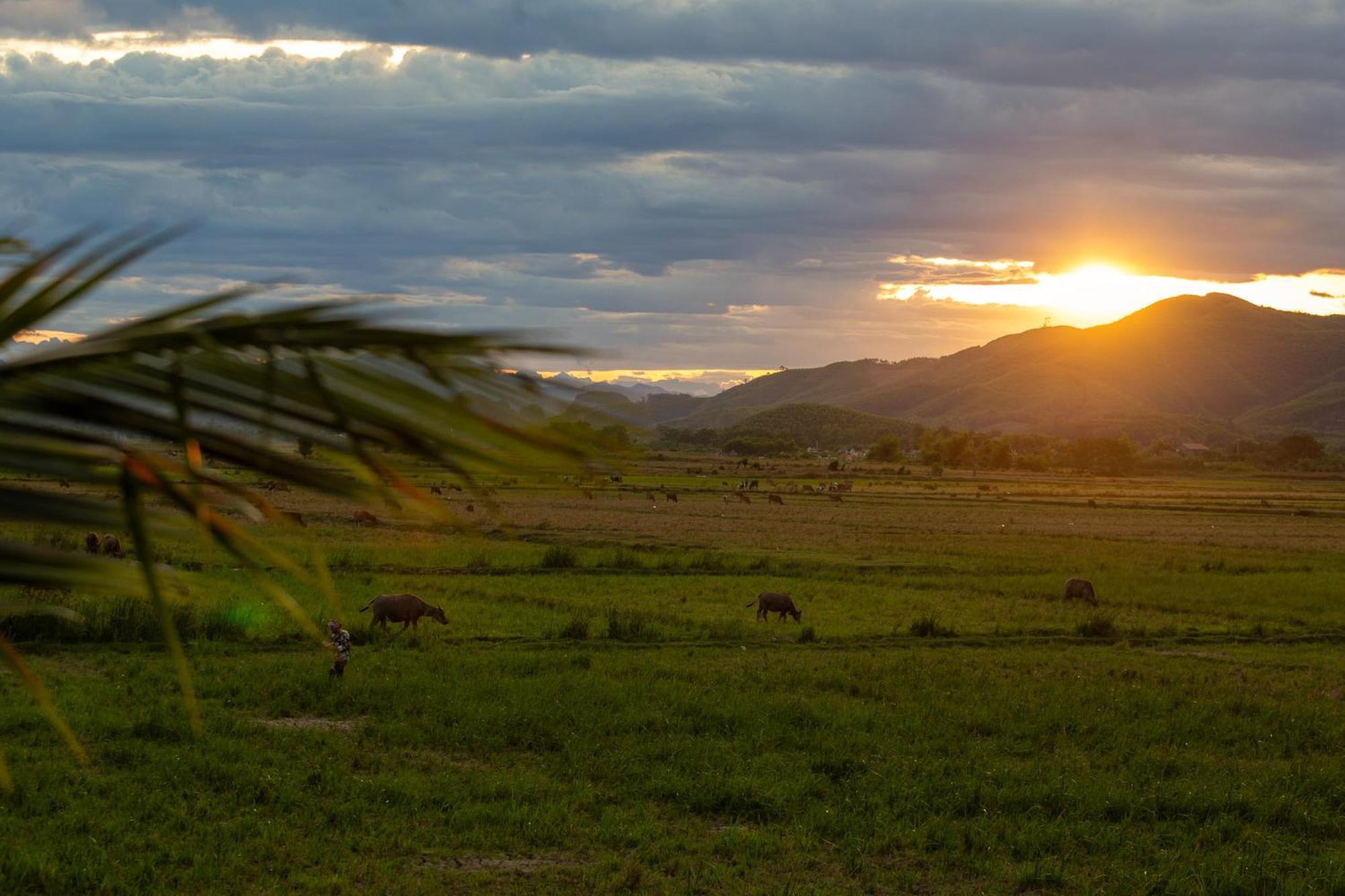 Phong Nha Farmstay Resort