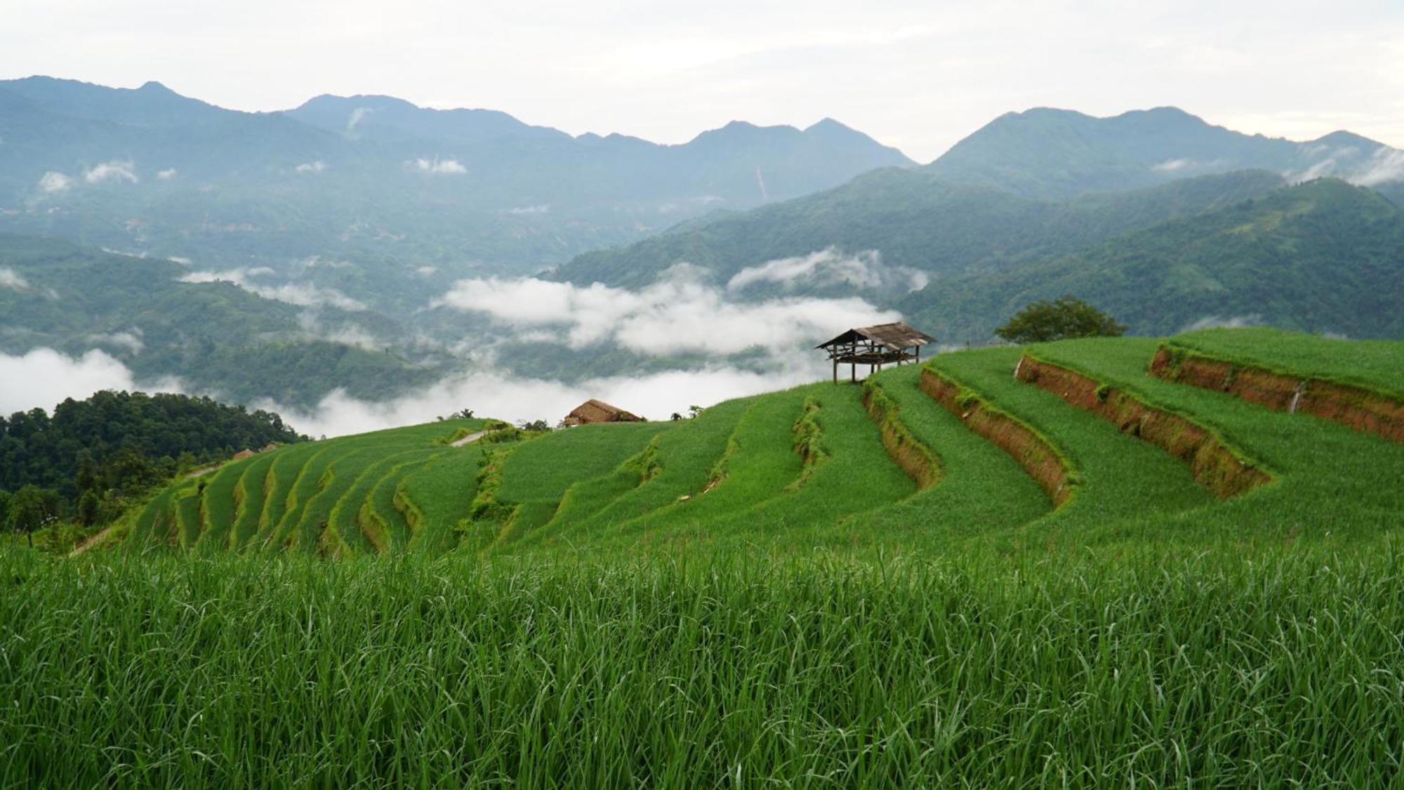 Hoang Su Phi - Mong Ngua Bed & Breakfast *