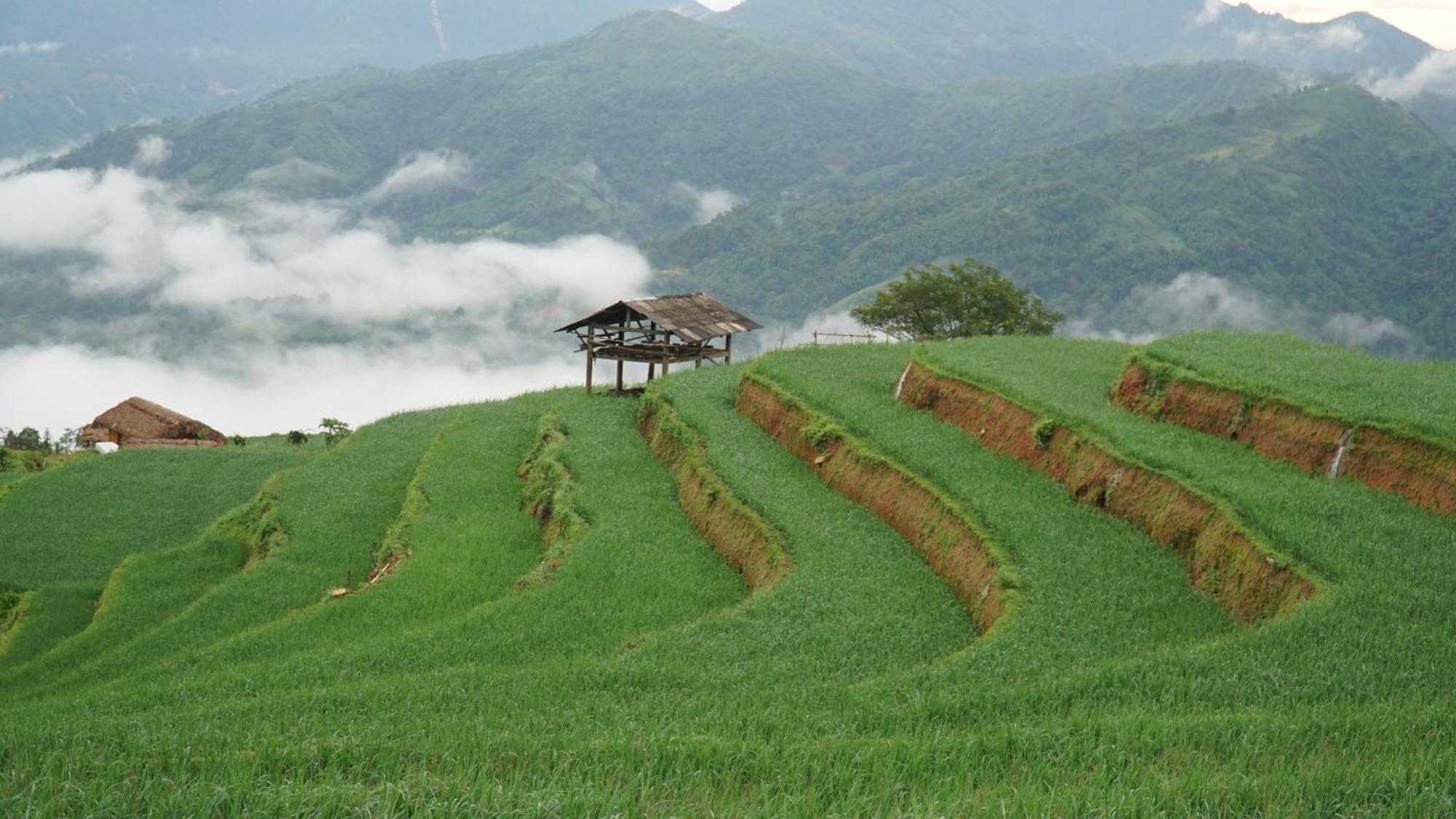 Hoang Su Phi - Mong Ngua Bed & Breakfast Ha Giang