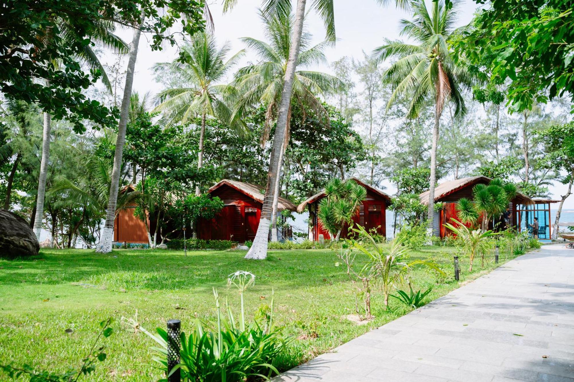 Royal Bai Xep Quy Nhon