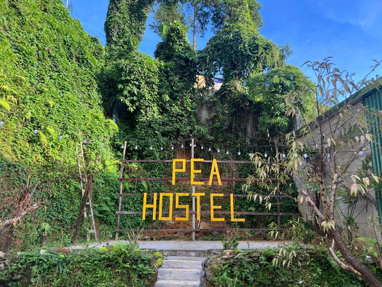 Pea *