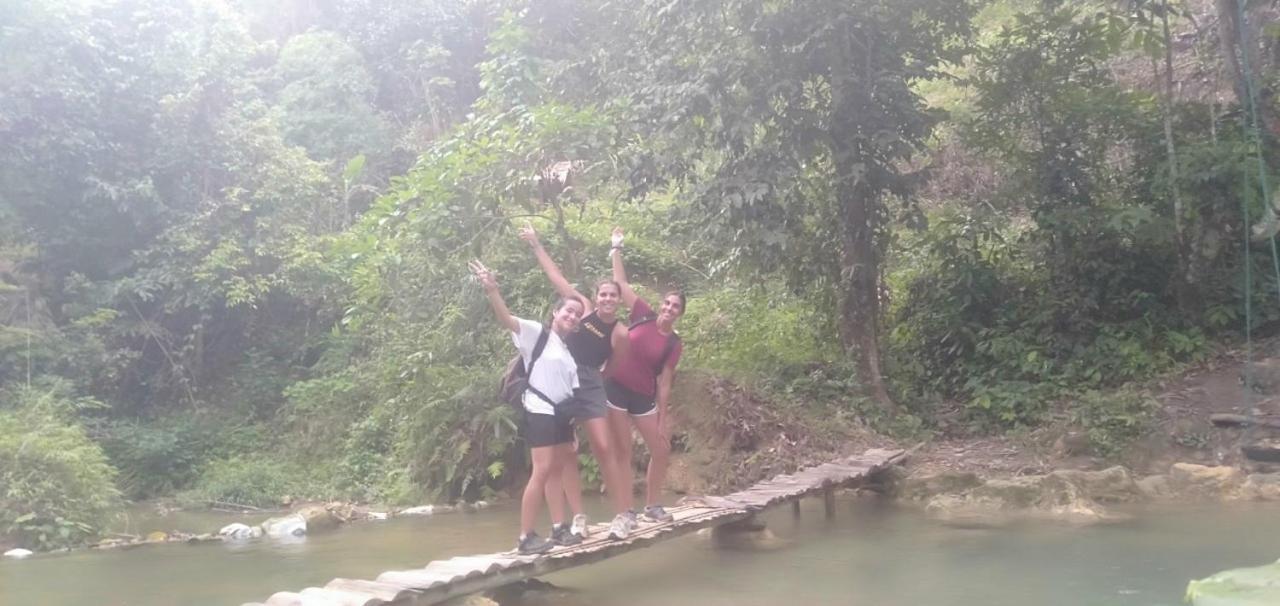 Jungle King 1 Hotel