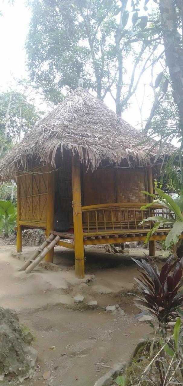 Hotel Jungle King 1