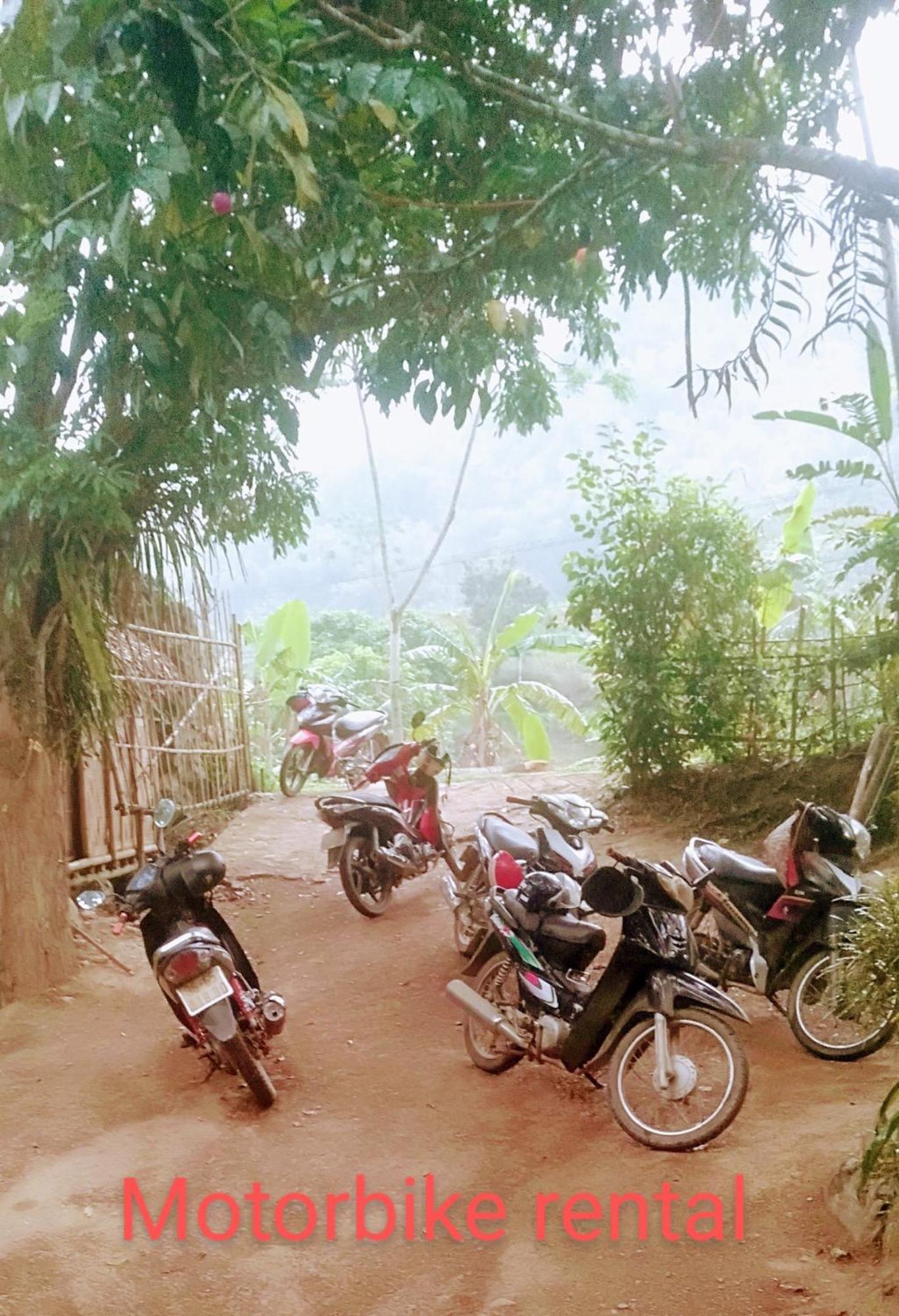 Jungle King 1 Hotel