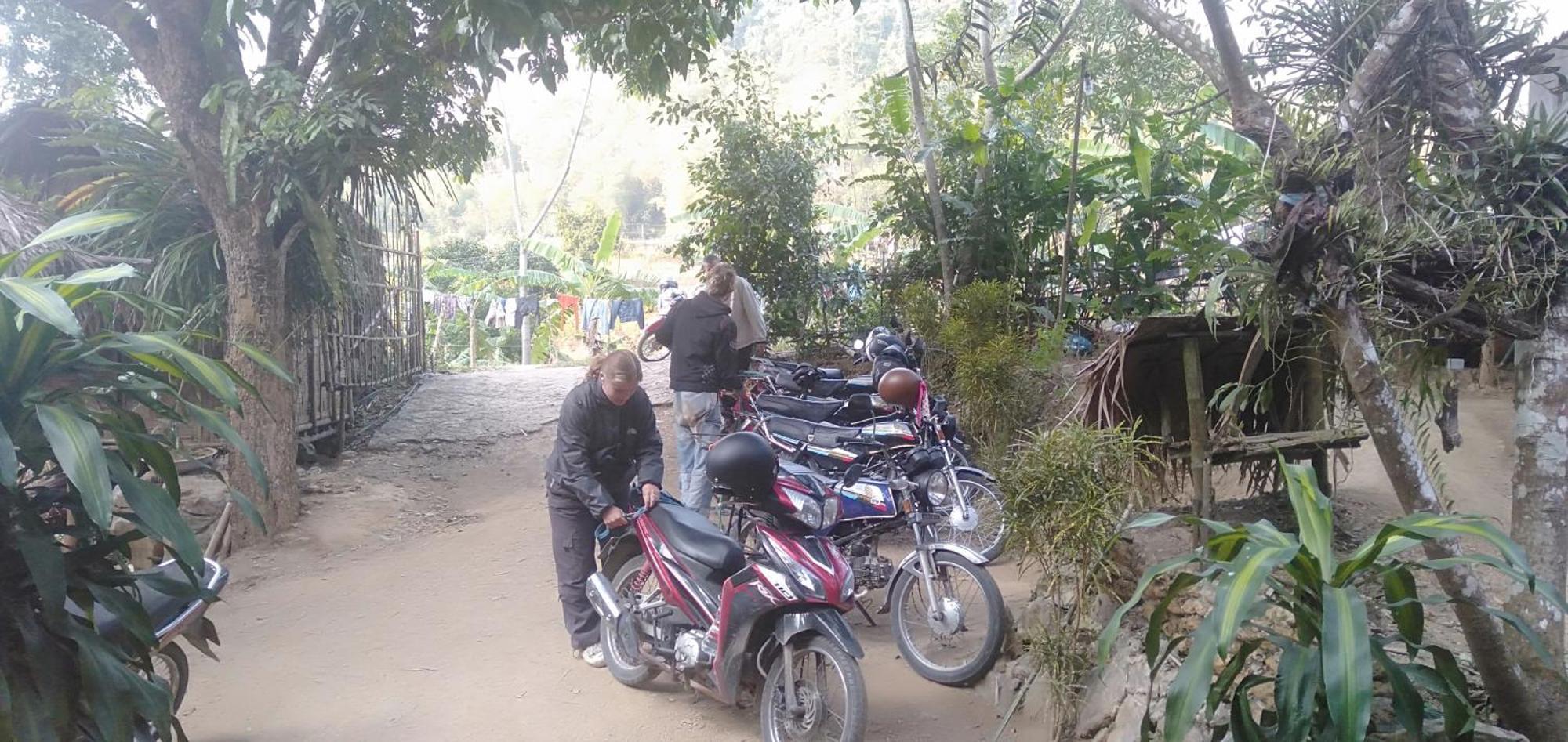 Hotel Jungle King 1 *