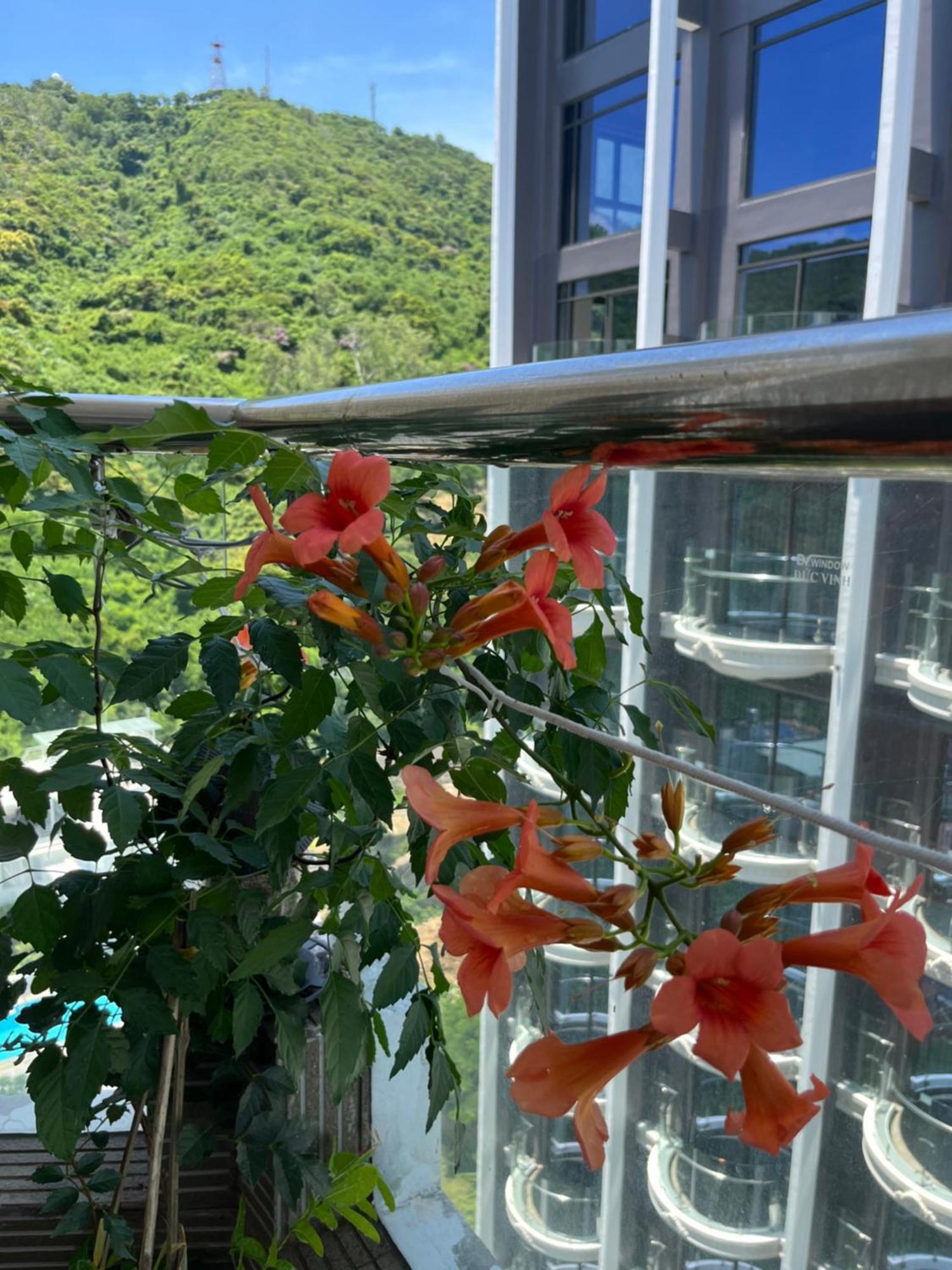 Thuy Tien Seaview -1602 Apartment *