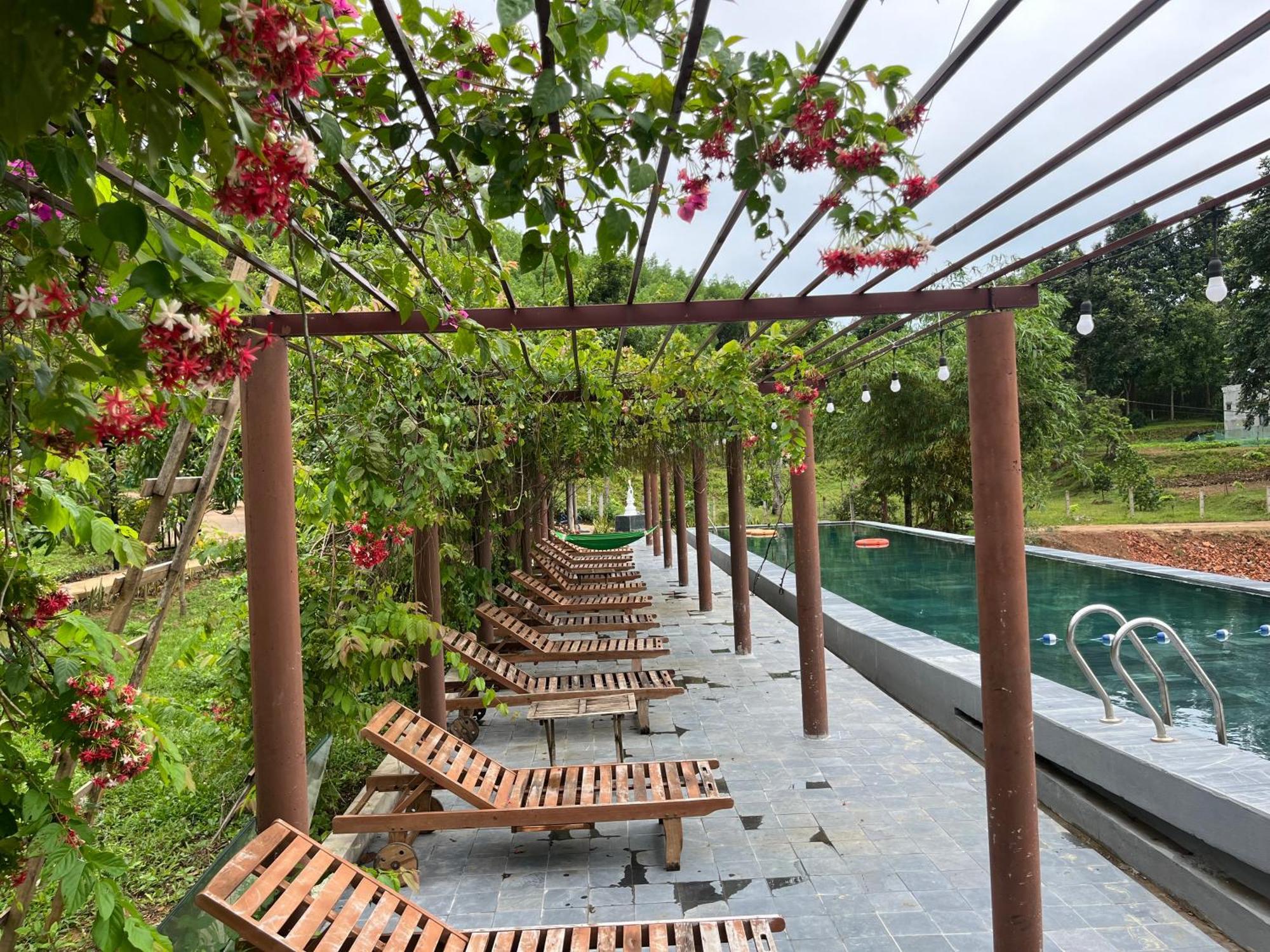 Nguyen Shack Retreat Homestay