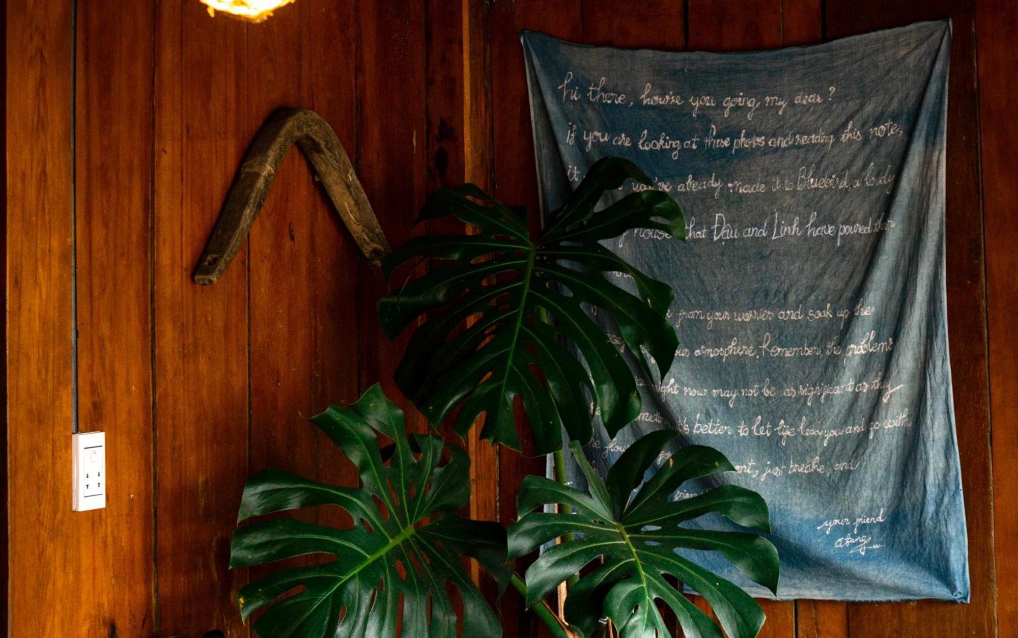 Bluebird - Cozy Indigo *