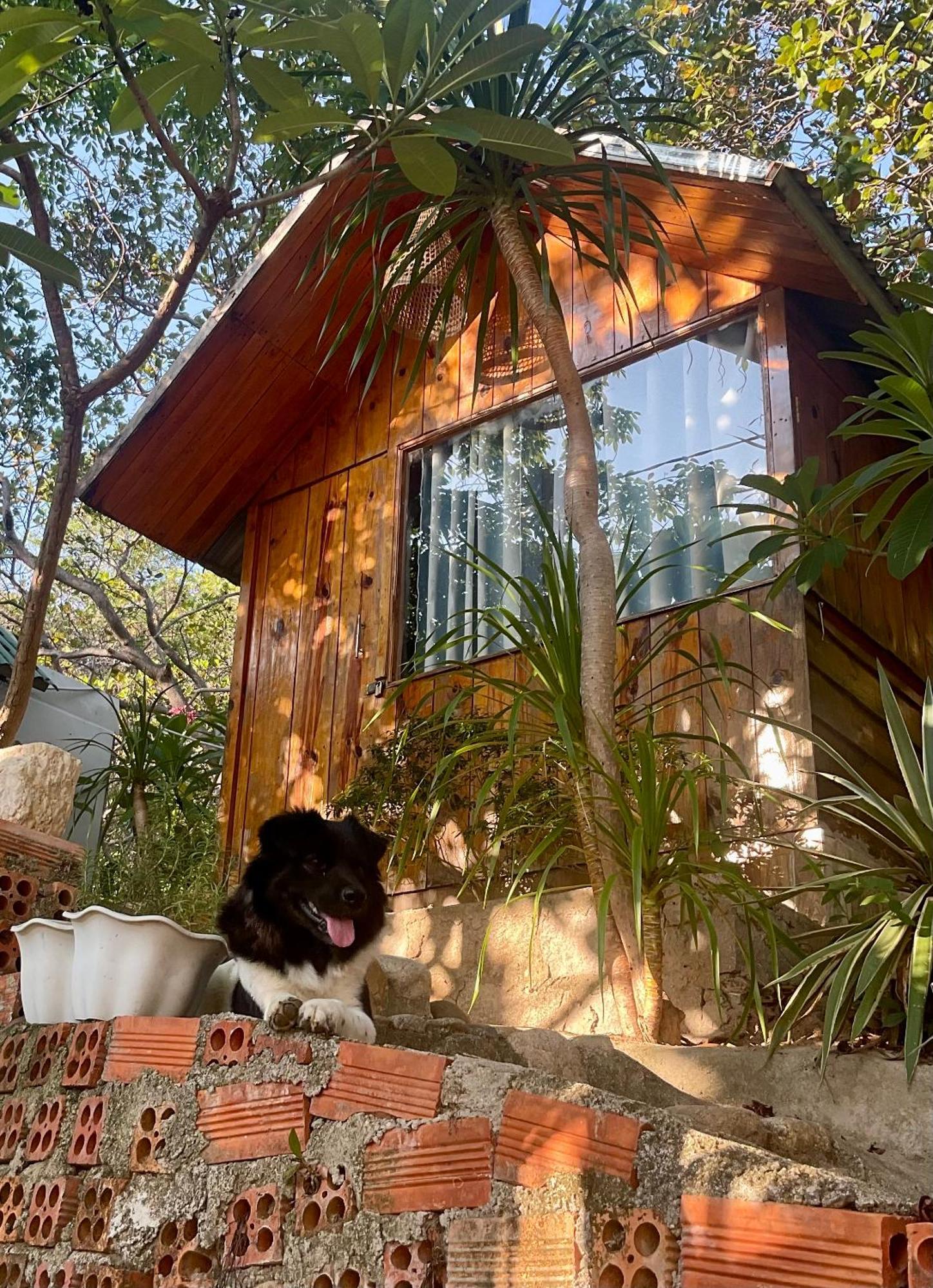 Meo - Bui Guest house *