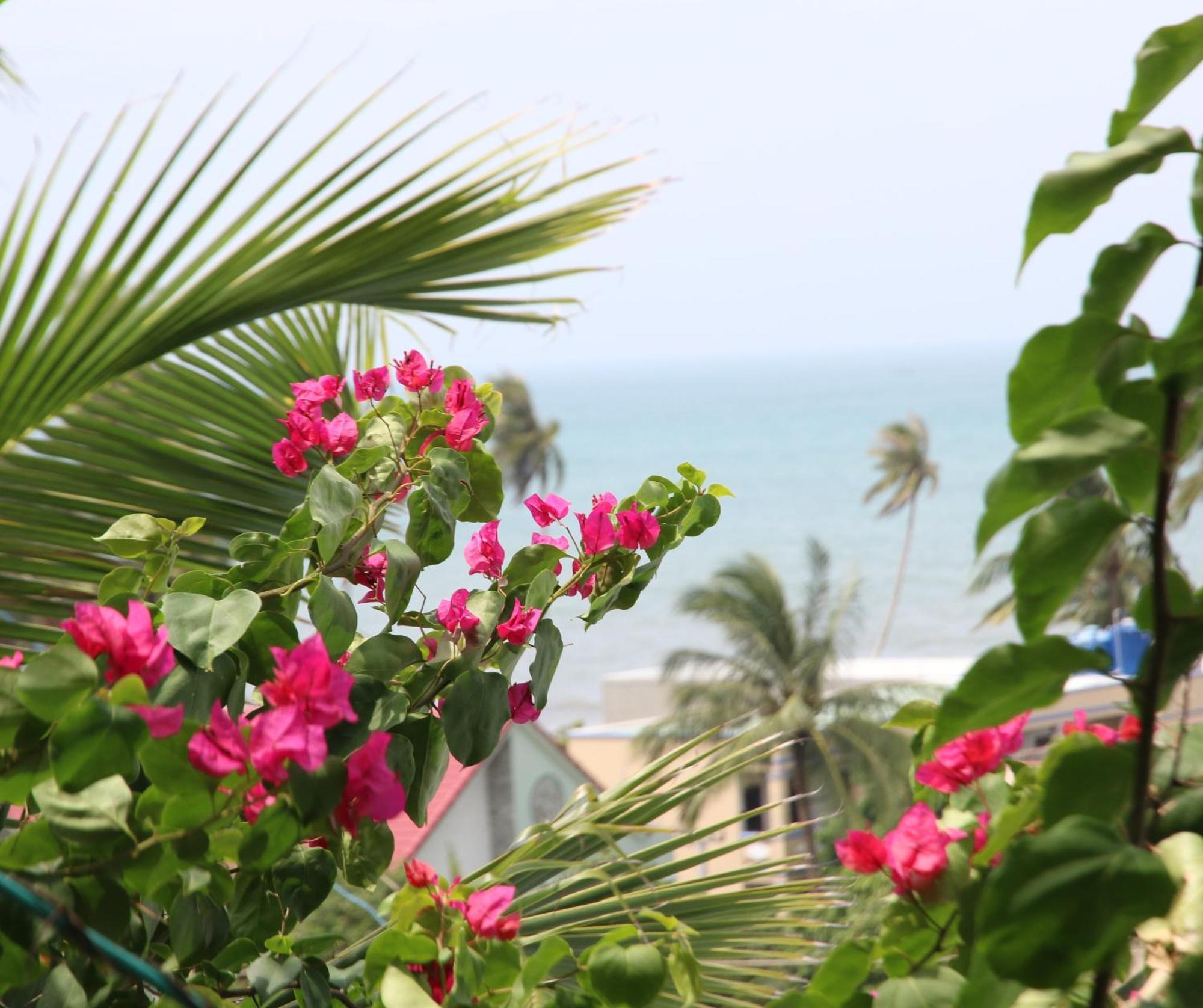 Quoc Dinh Guest house