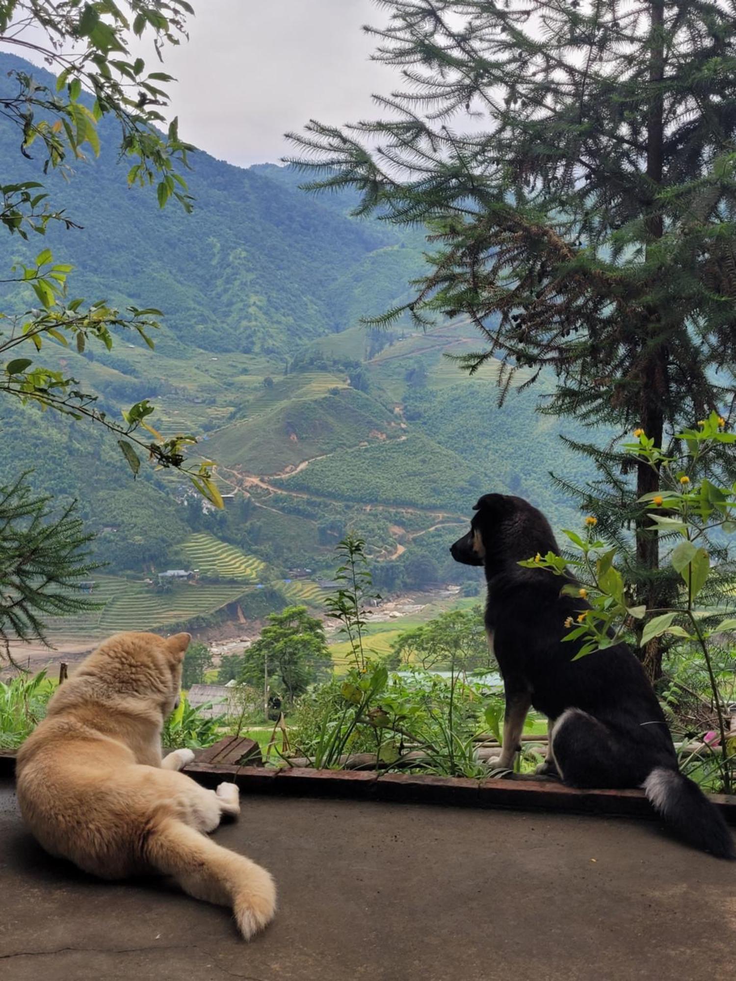 Ở trọ Sapa's Soul Hillside Sa Pa