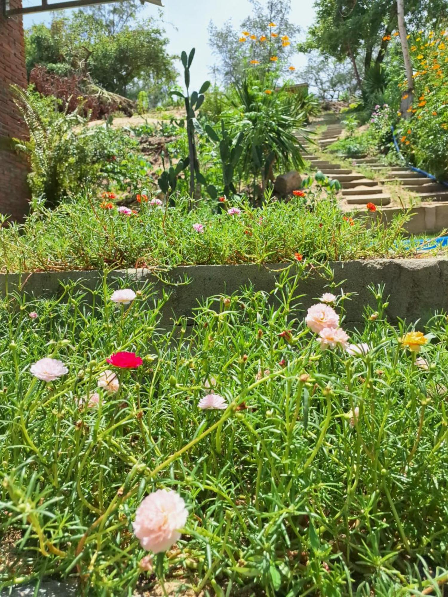 Homestay Phu *