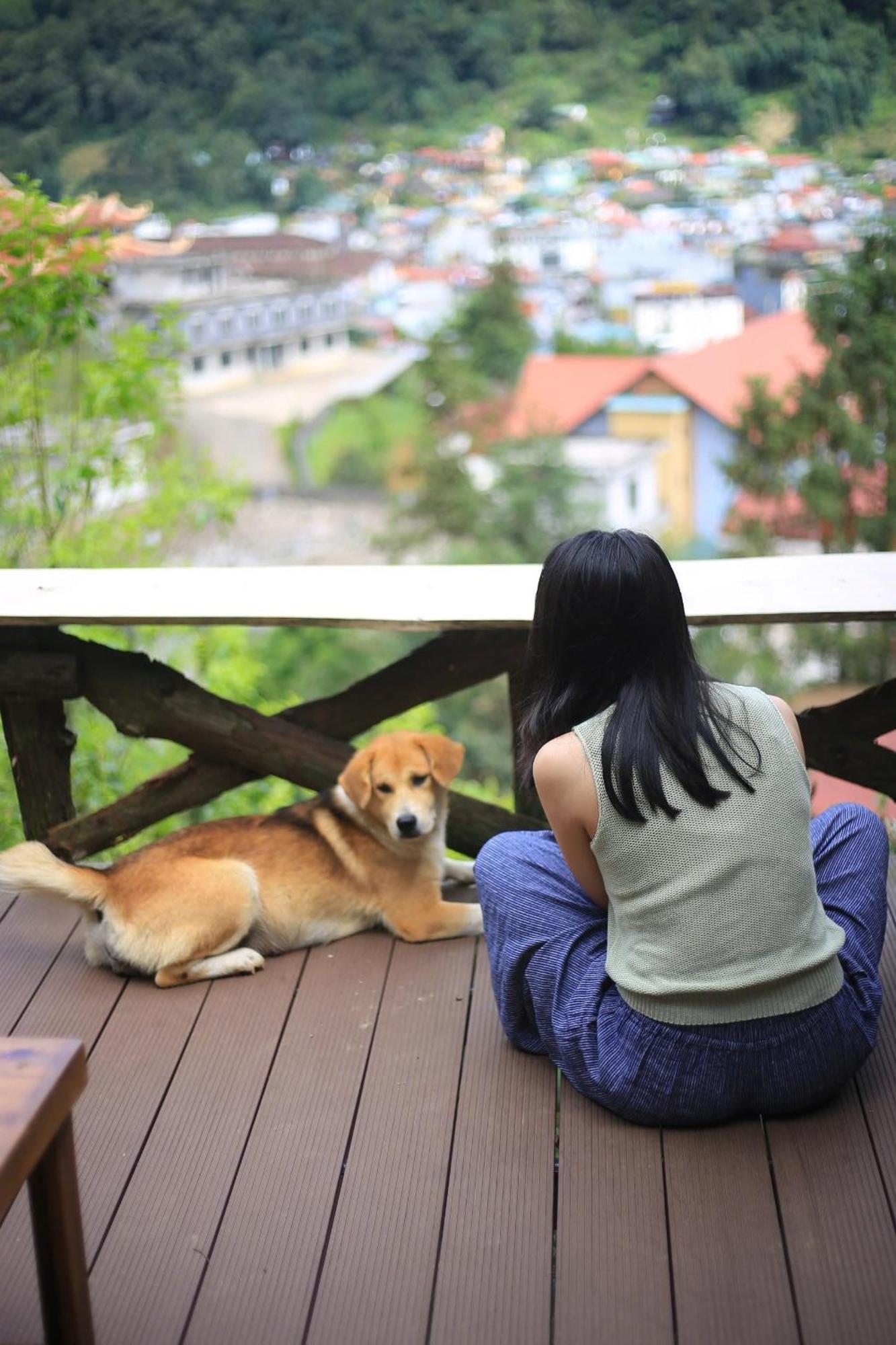 Jungle Homestay *