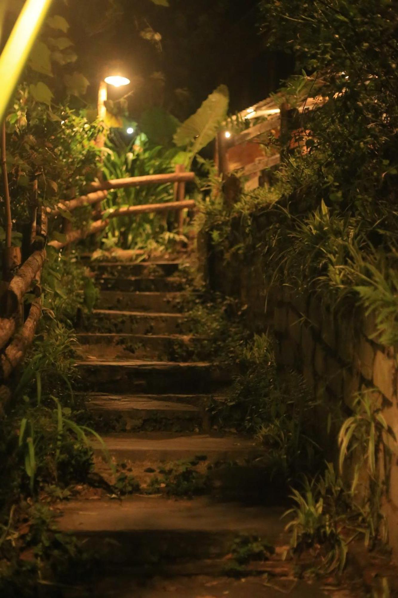 Ở trọ Jungle *