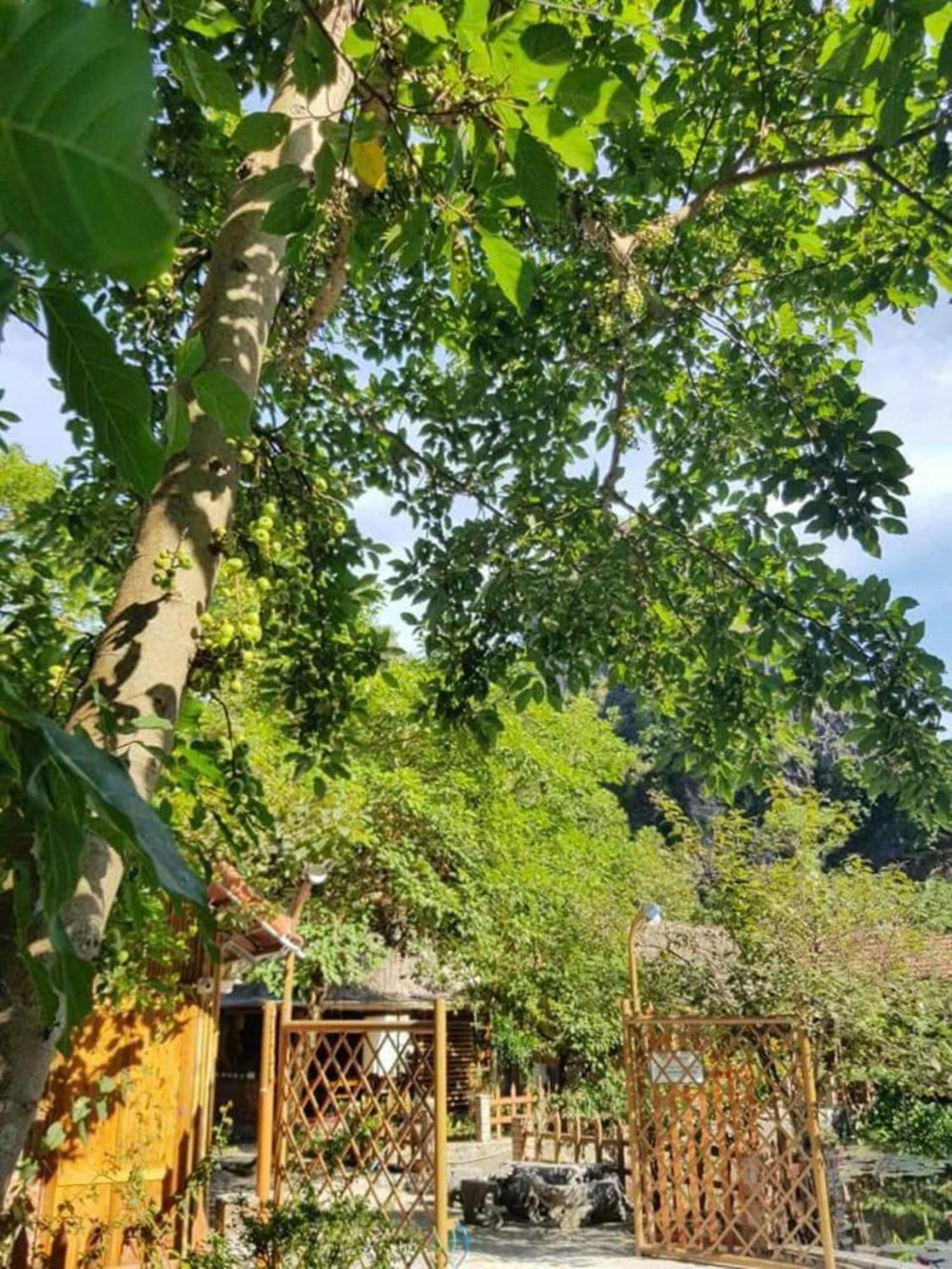 Ở trọ Hoa Lu Eco Ninh Bình