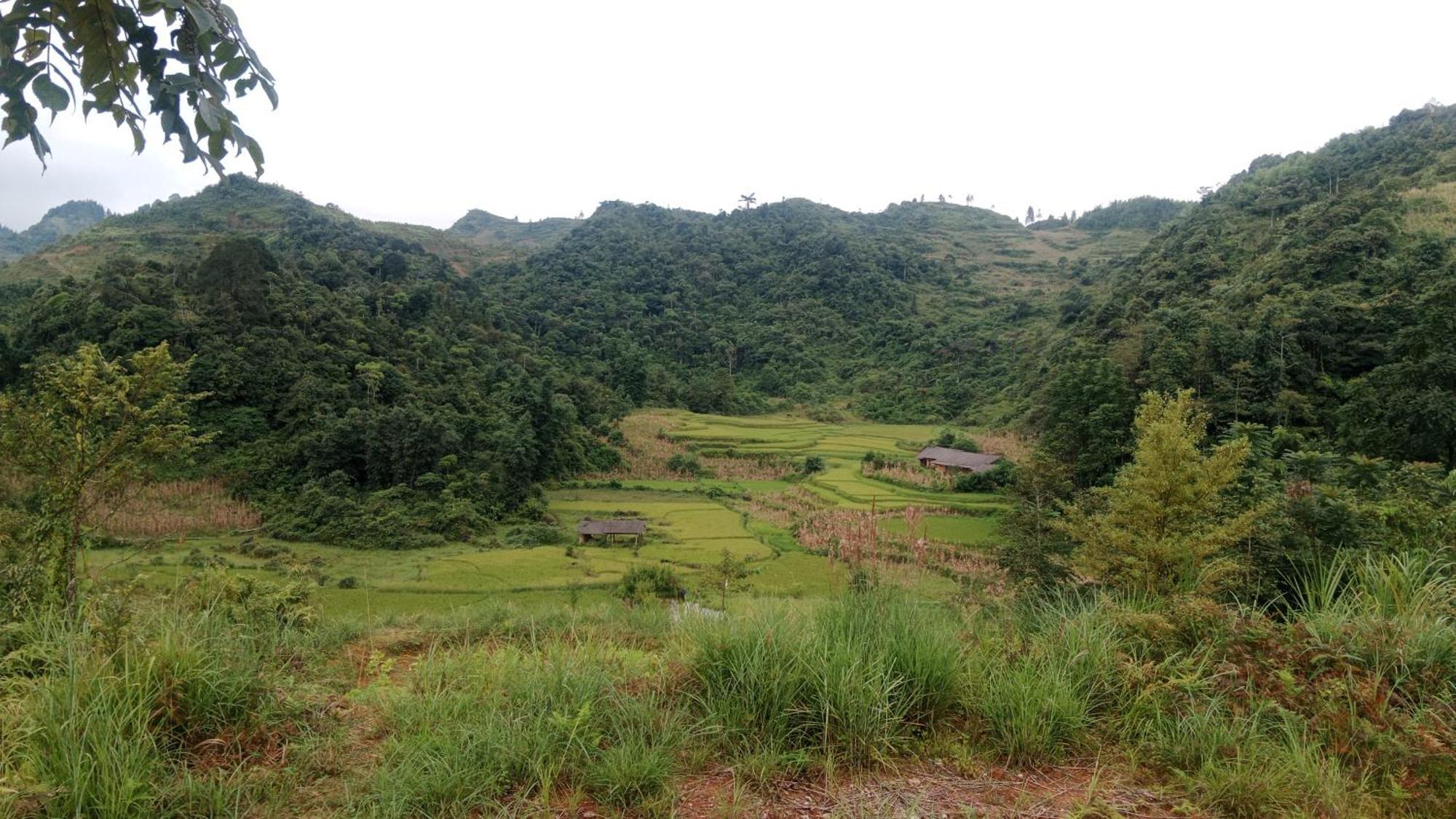 Higland Ở trọ