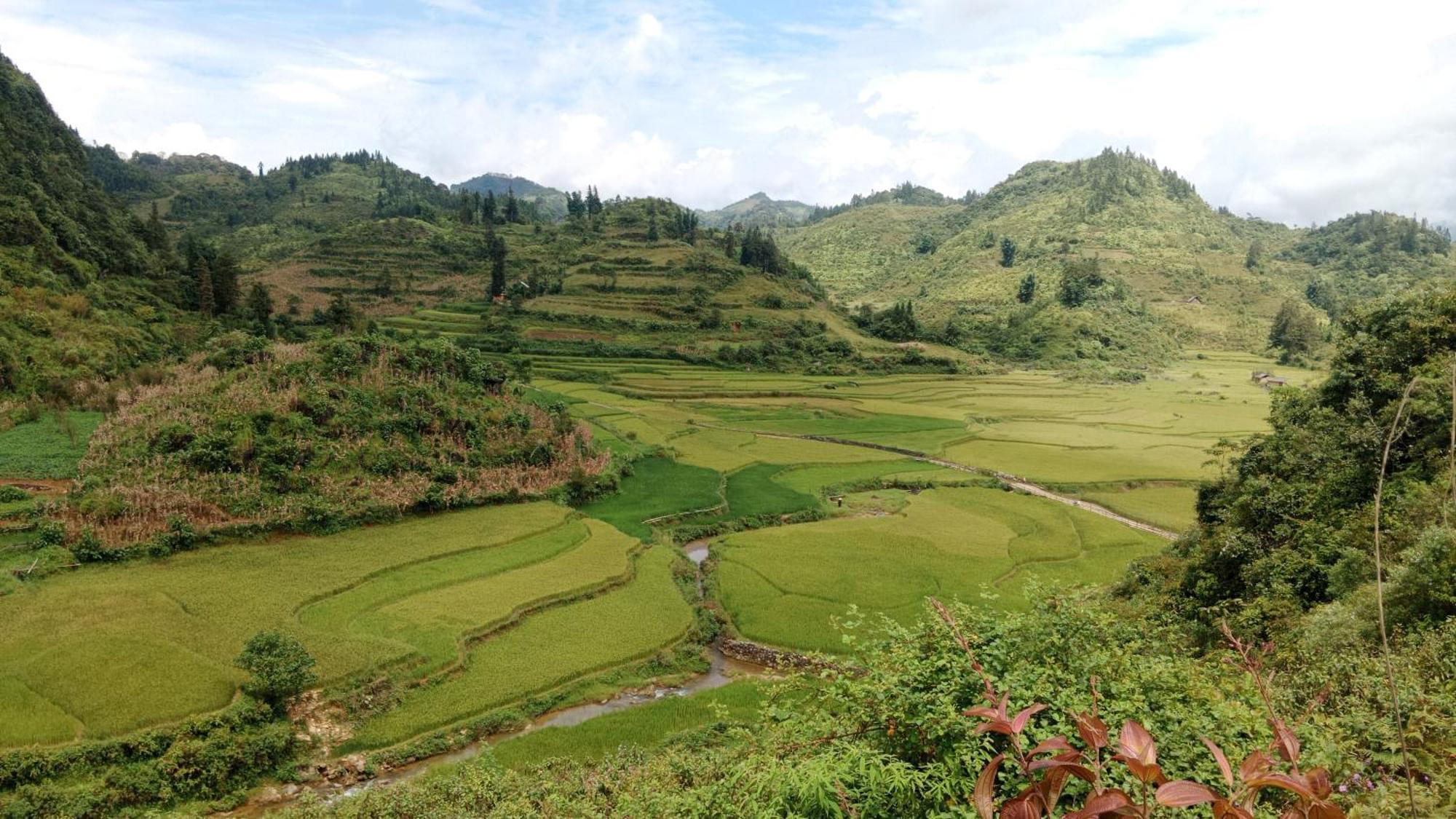 Ở trọ Higland *