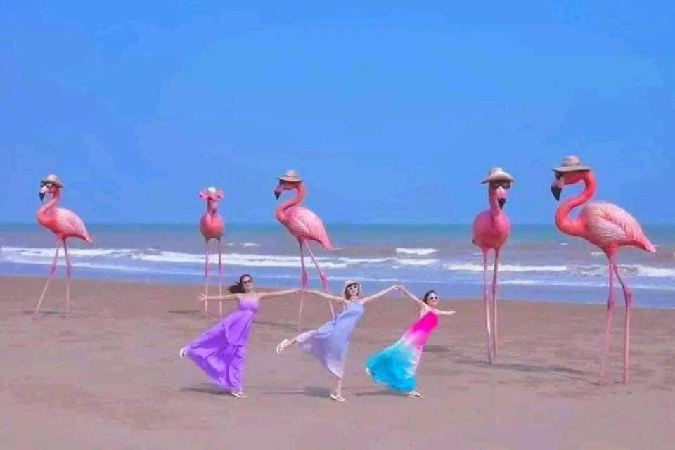 Tien - Thanh Hoa 5* Hoang Hoa