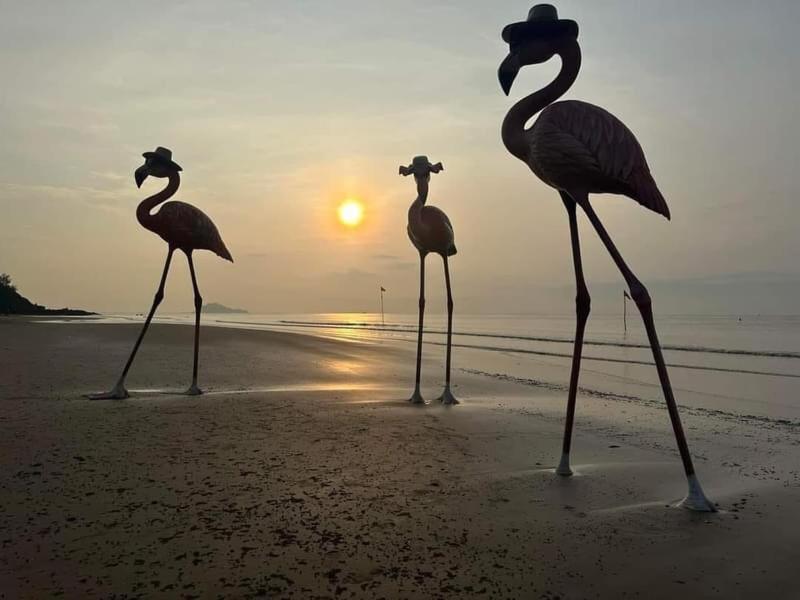 Tien - Thanh Hoa 5*