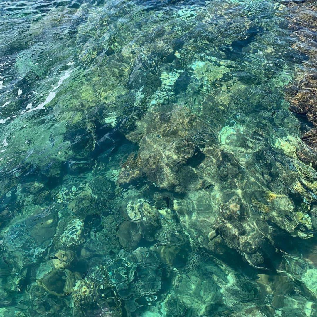 Coral Bay Master *