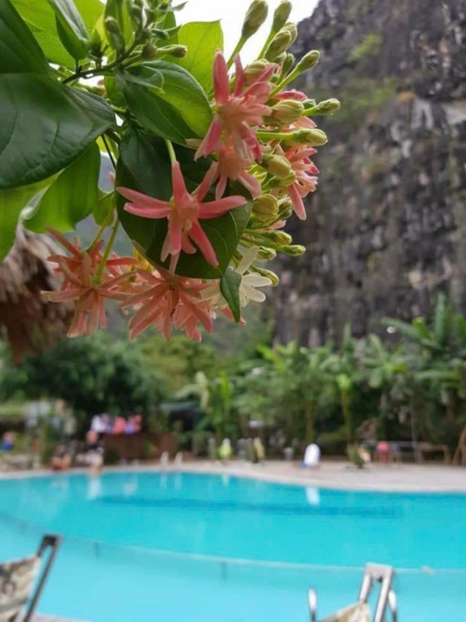 Hoalu Ninh Binh