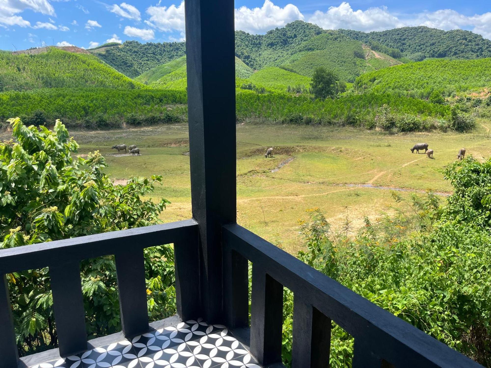 Homestay Nguyen Shack Retreat