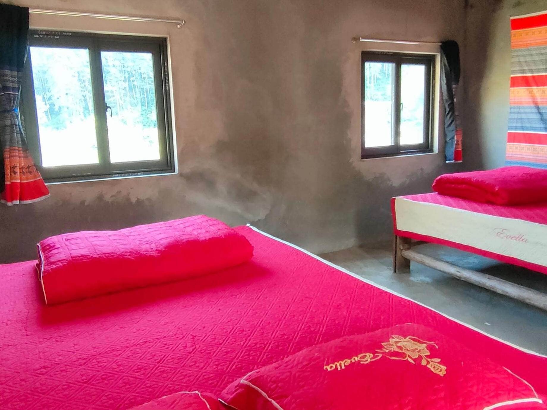 Backpacker Lodge