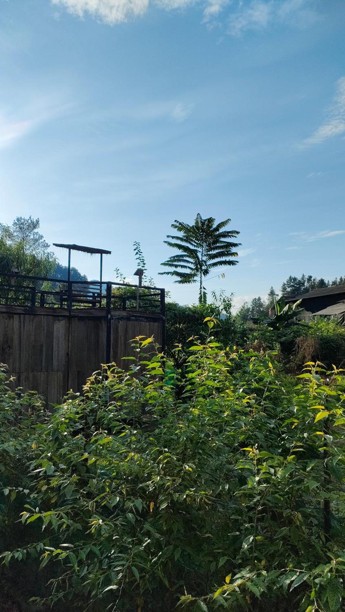 Backpacker Lodge *