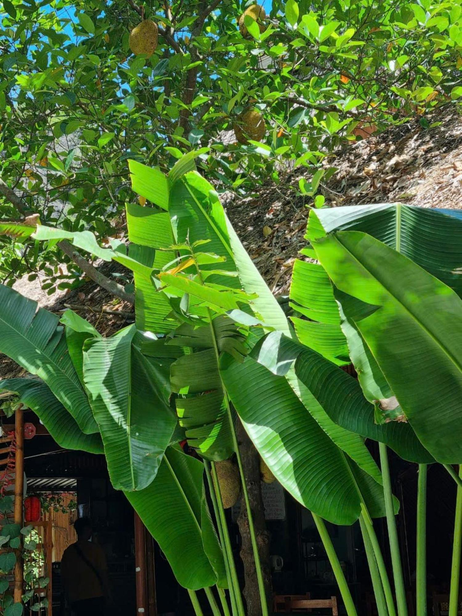 Hoa Lu Eco