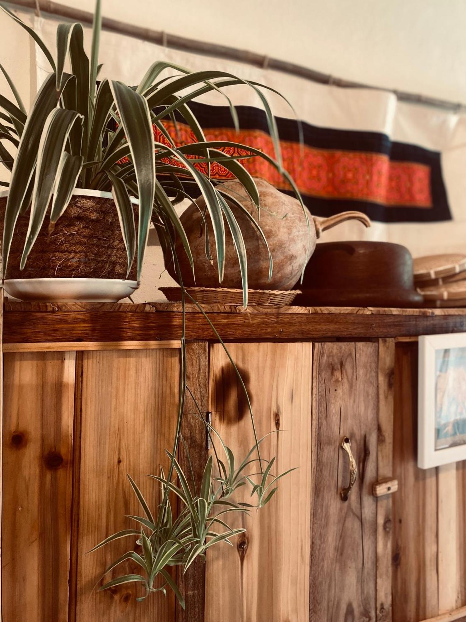 Homestay Maison Rose & Jardinier Eco