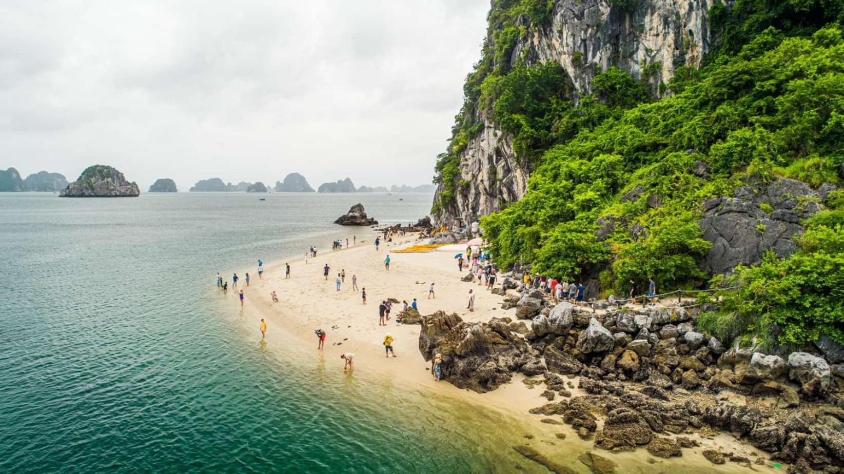  Victory Cruise Hạ Long