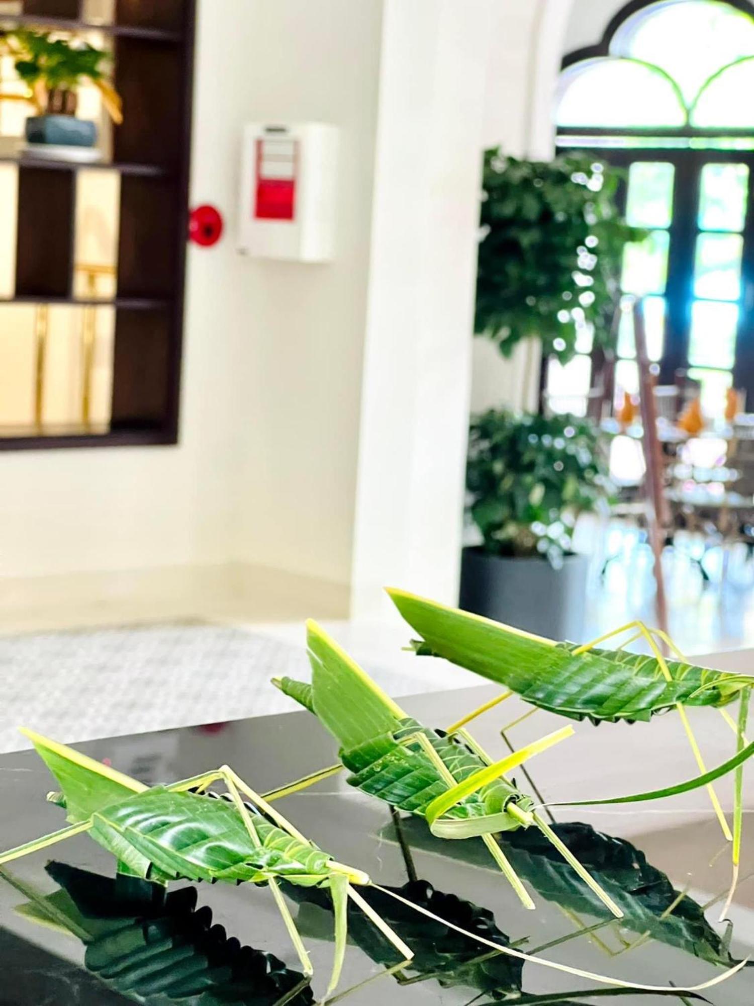 La Residencia . Một Nhỏ&spa Khách sạn Hội An