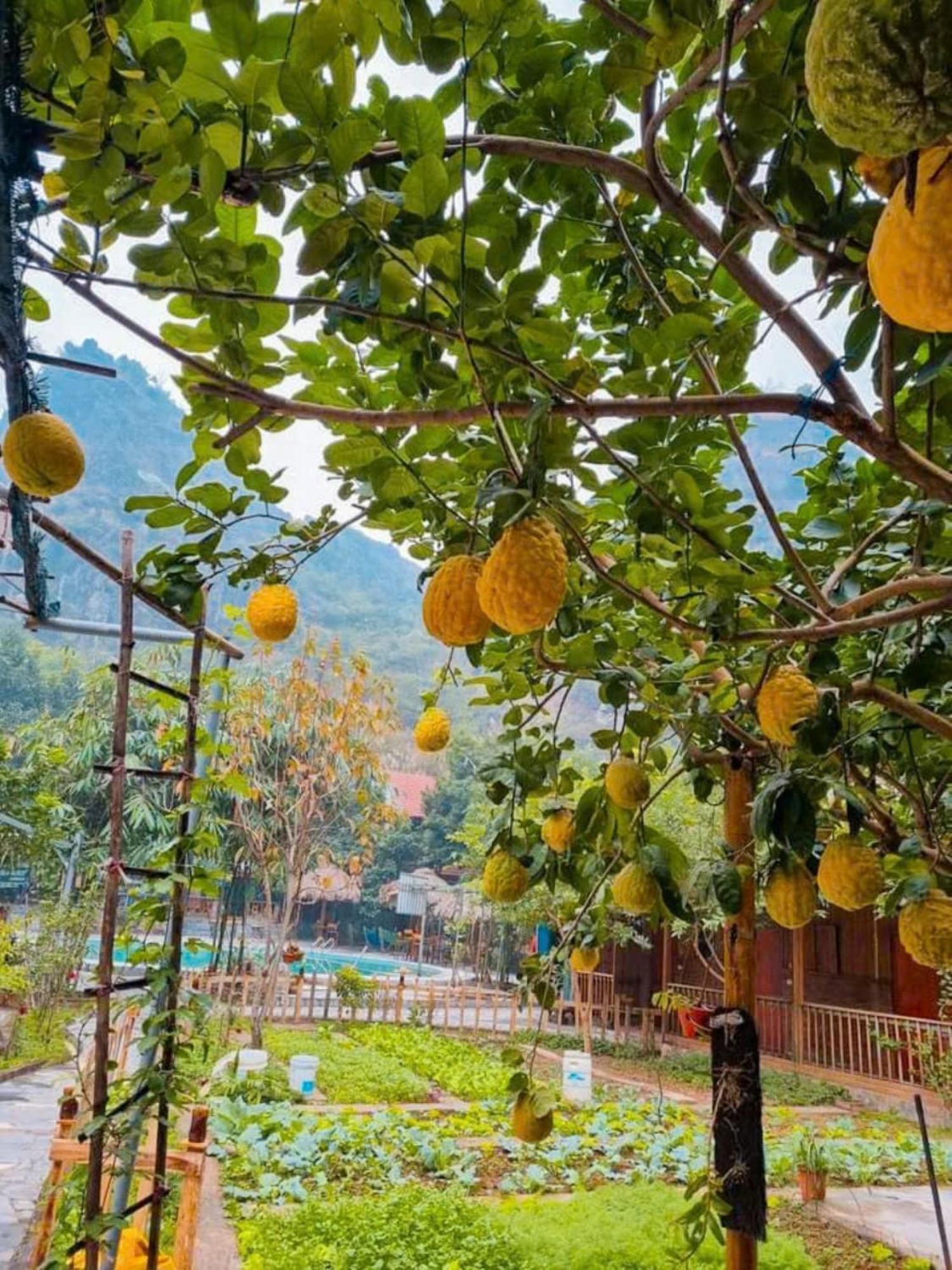 Ở trọ Hoa Lu Eco *