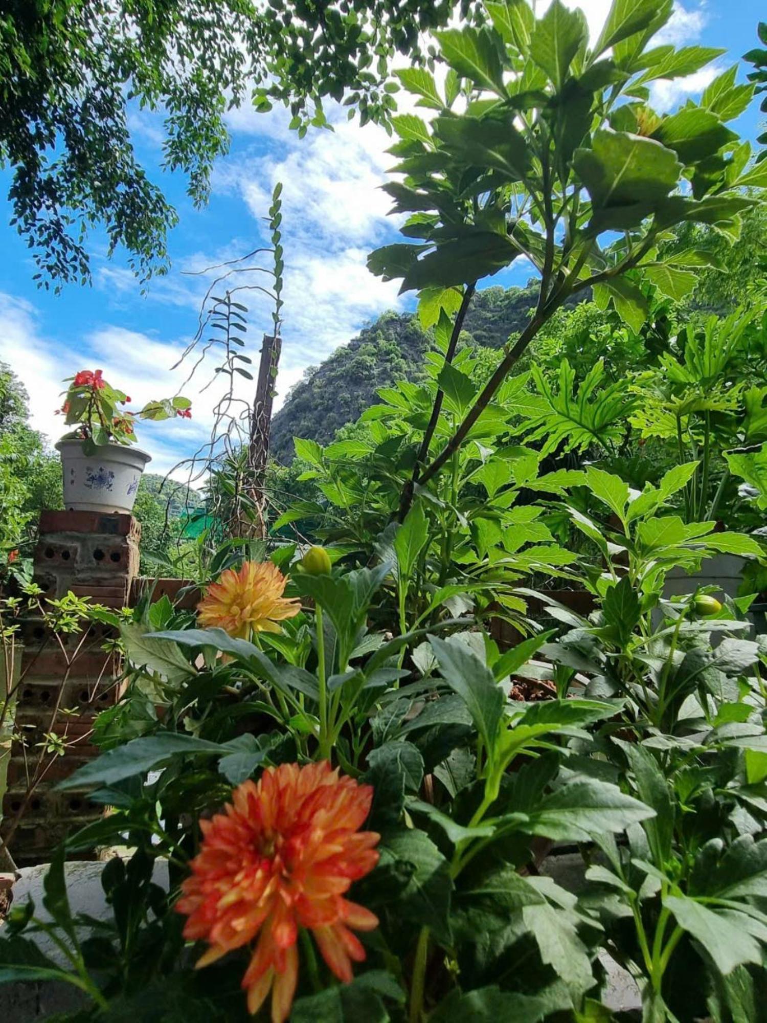 Ở trọ Hoa Lu Eco Ninh Bình