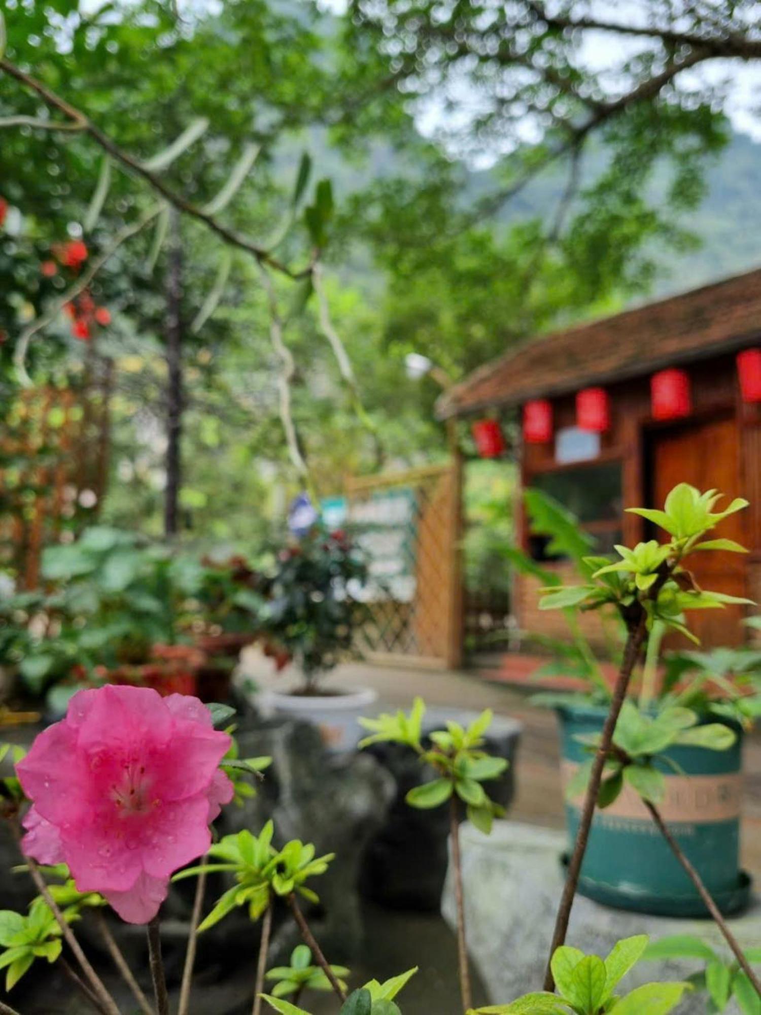 Hoa Lu Eco *