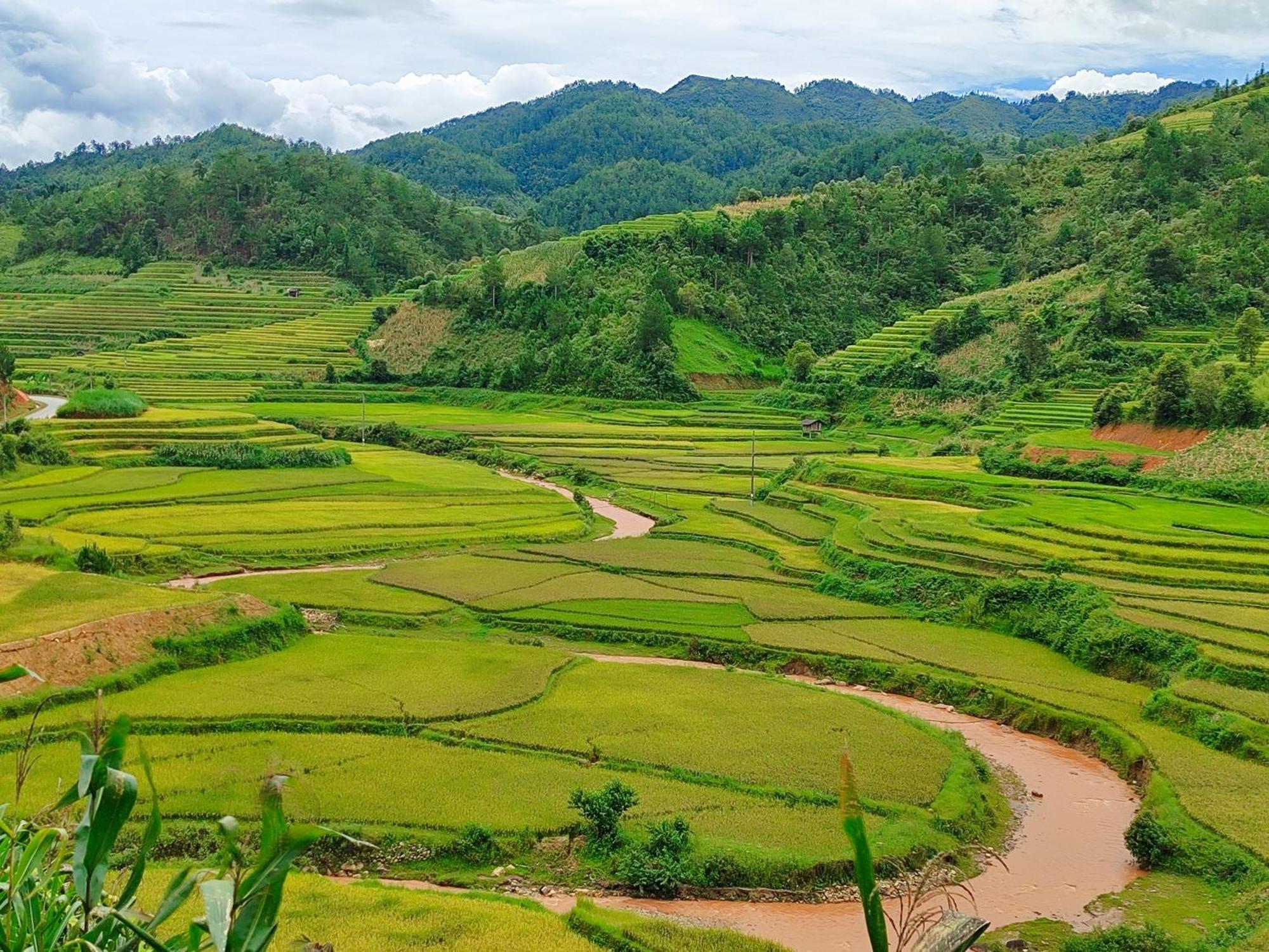 Lodge & Trekking Mu Cang Chai