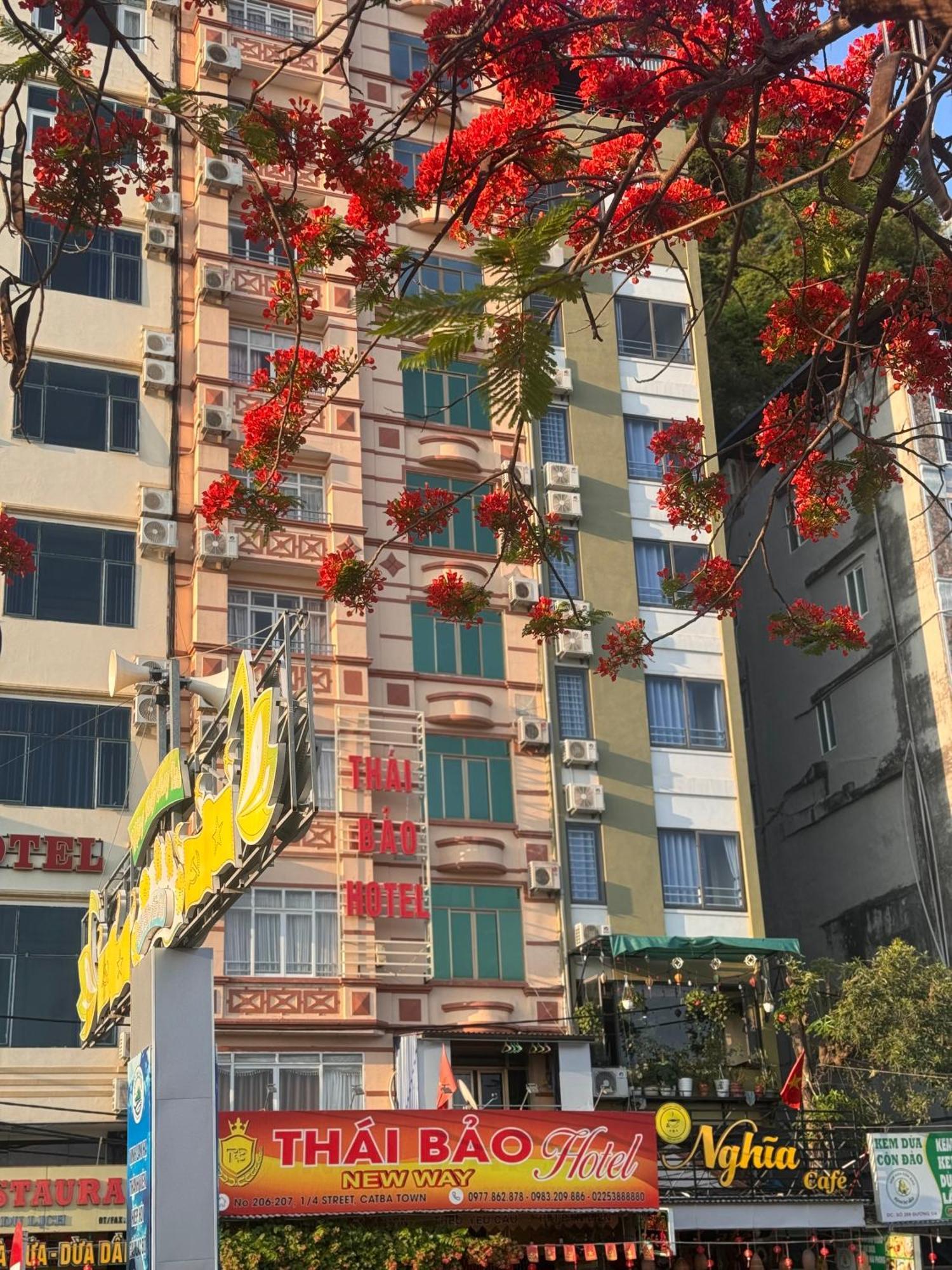 Thai Bao Guest house 2*