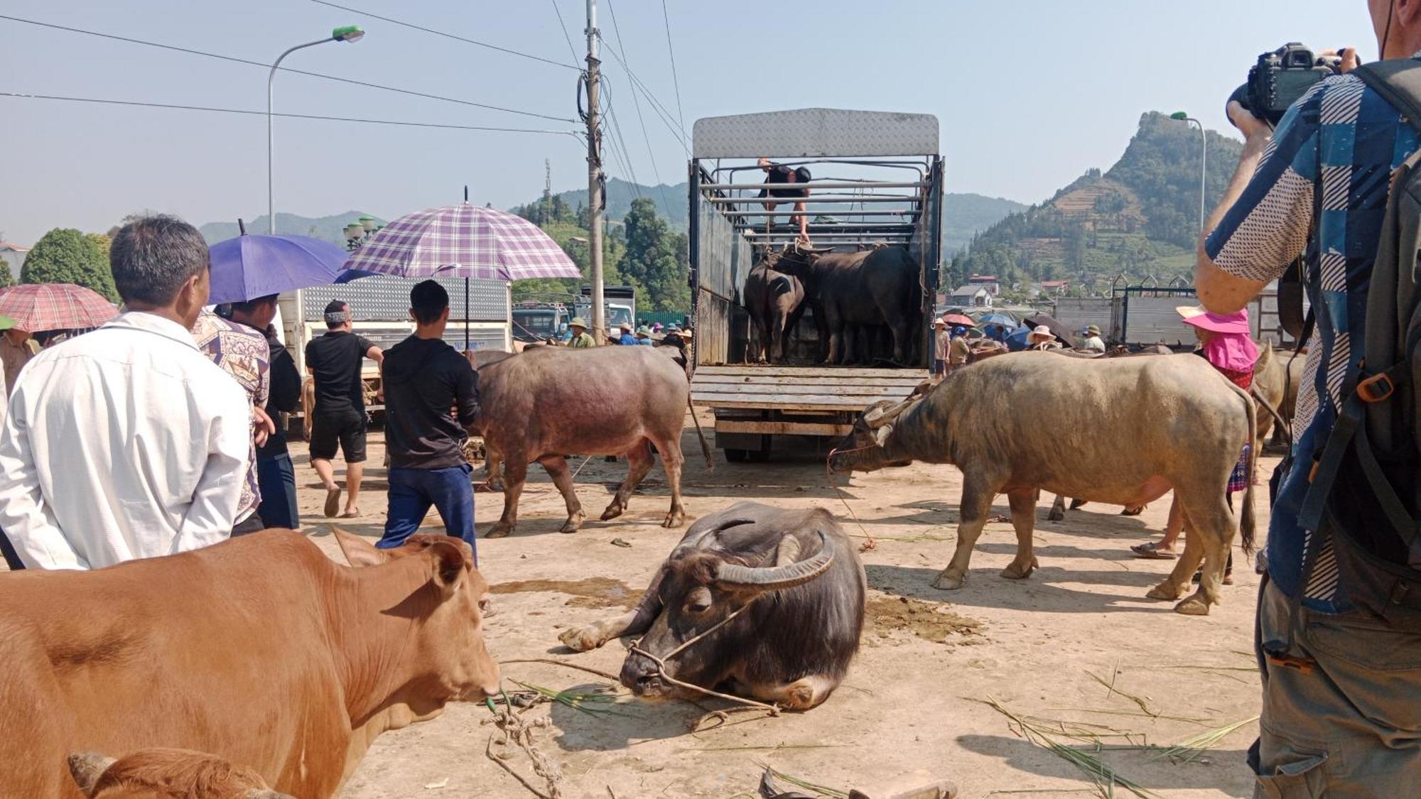 Ở trọ Higland Bac Ha (Lao Cai)
