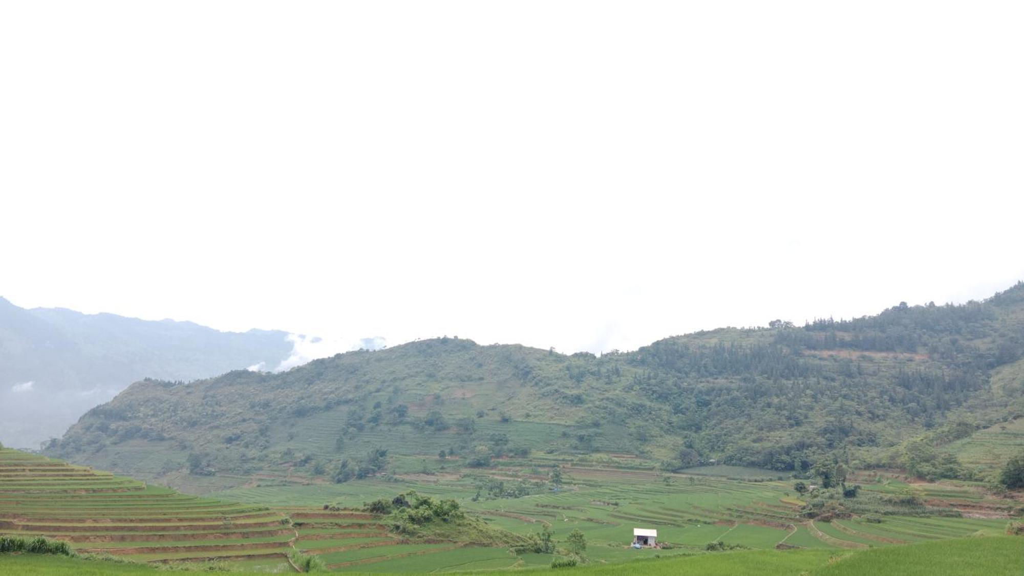 Higland