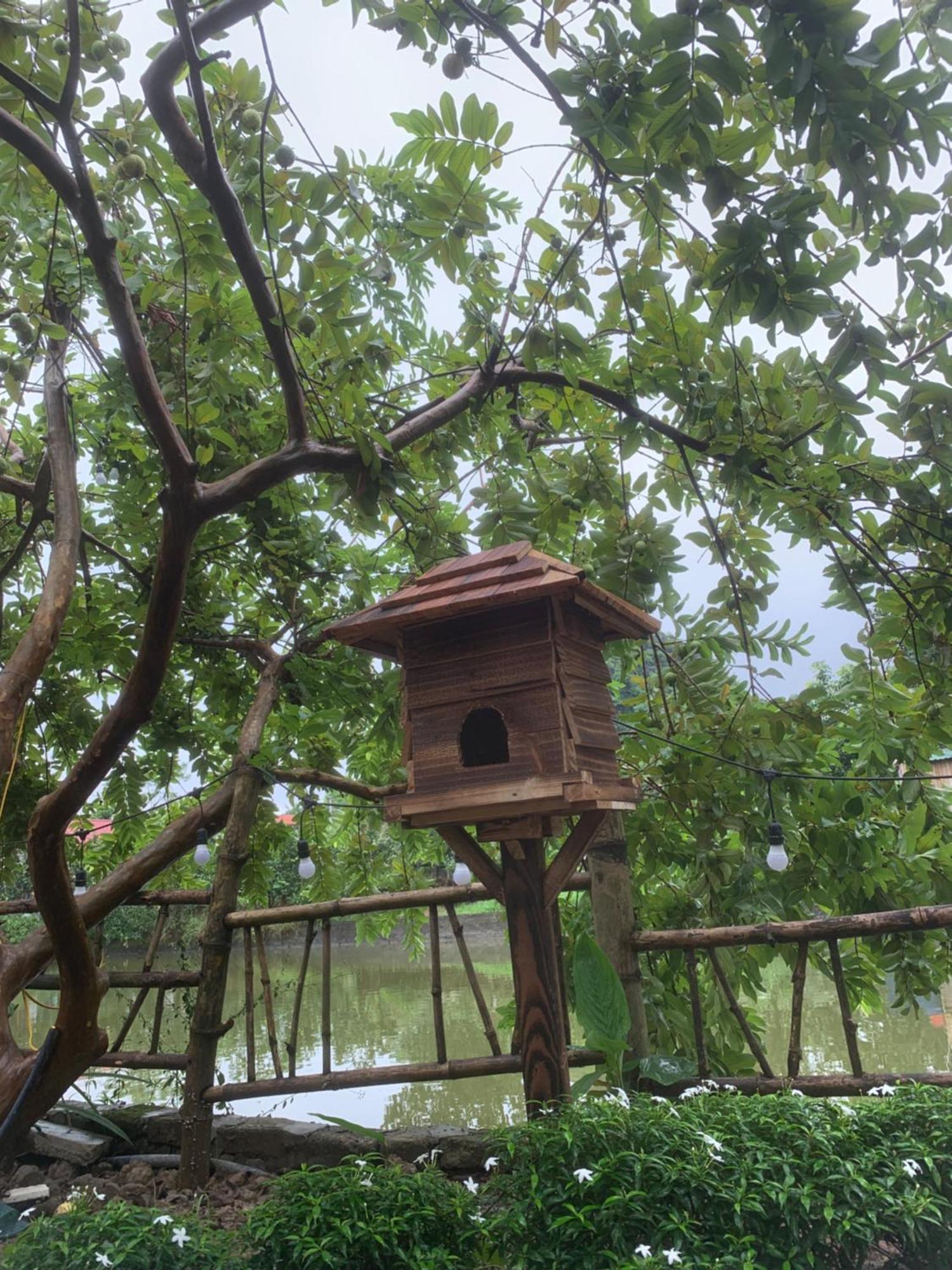 Peaceful Refuge *