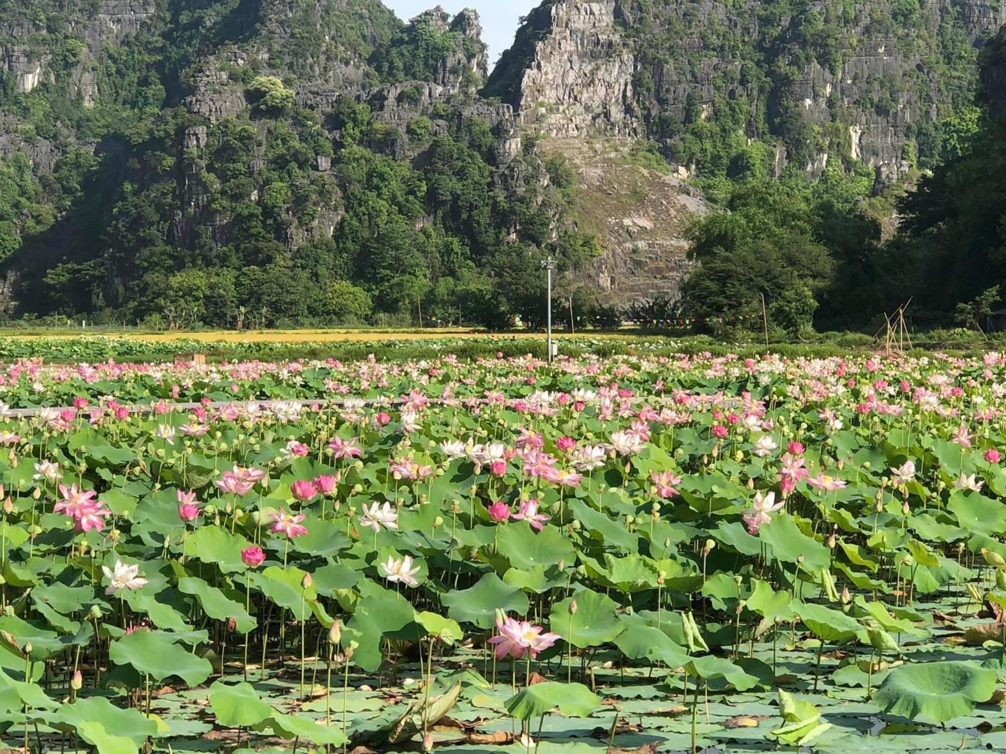 Tam Coc - Thanh * Ninh Binh