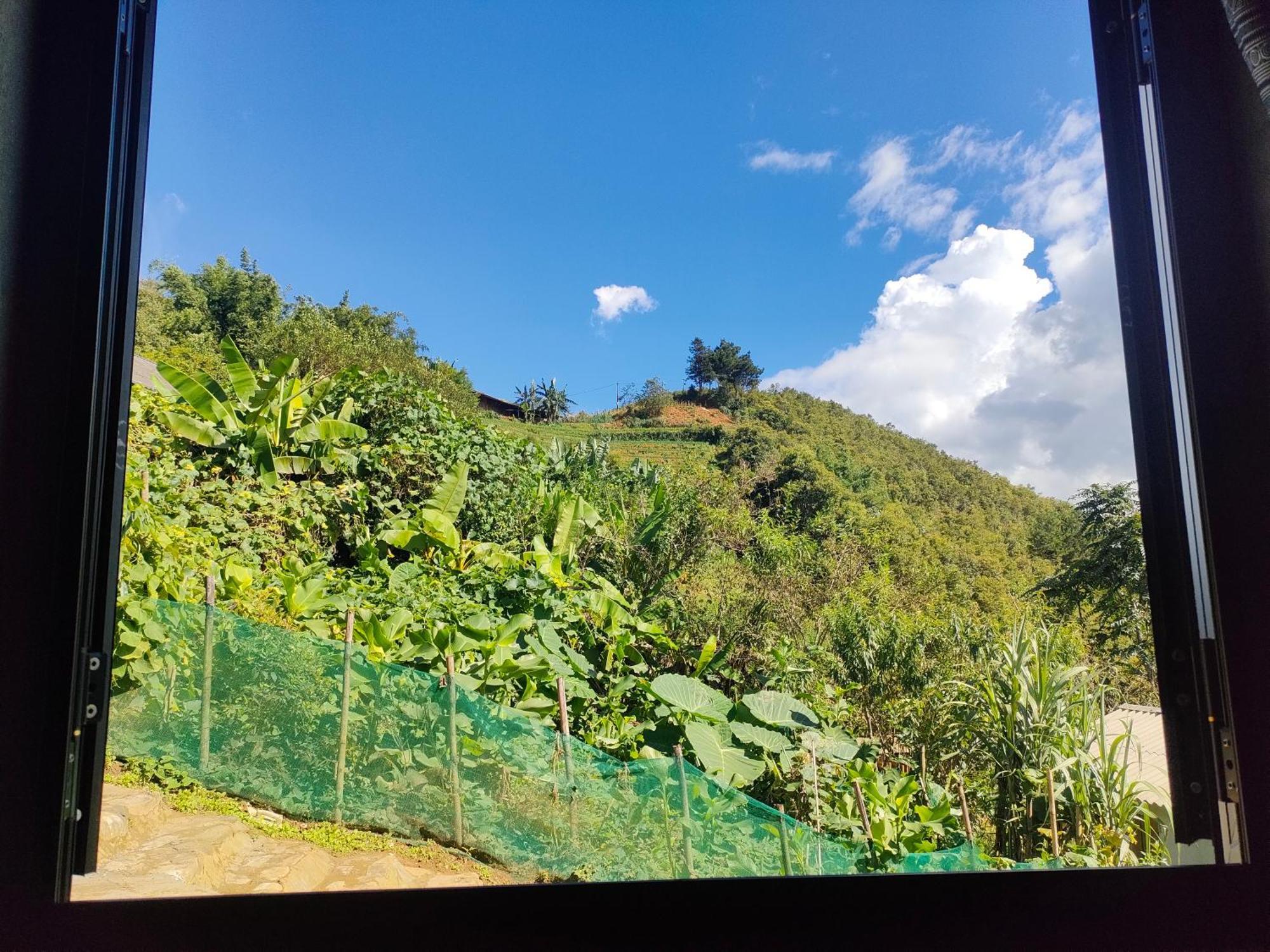 Indigenous Homestay- Trek- Food- Bus