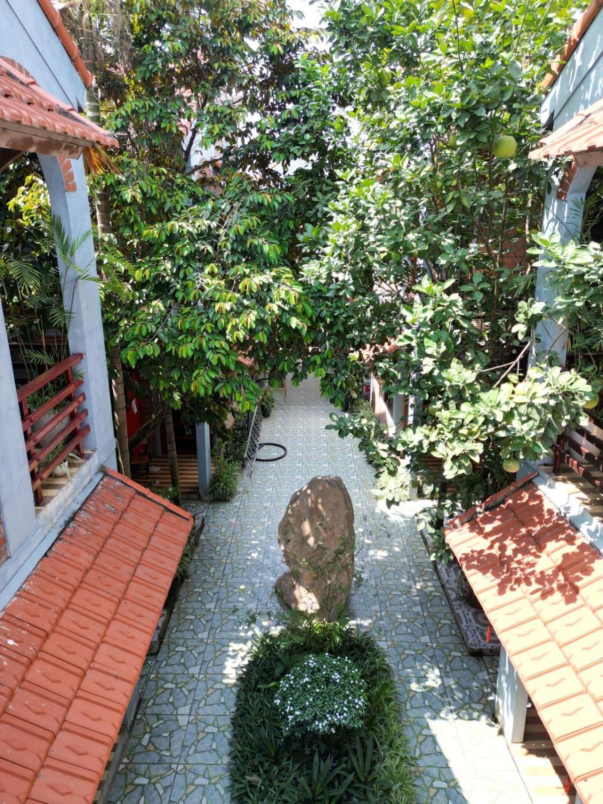 Gecko Backpackers * Ninh Binh