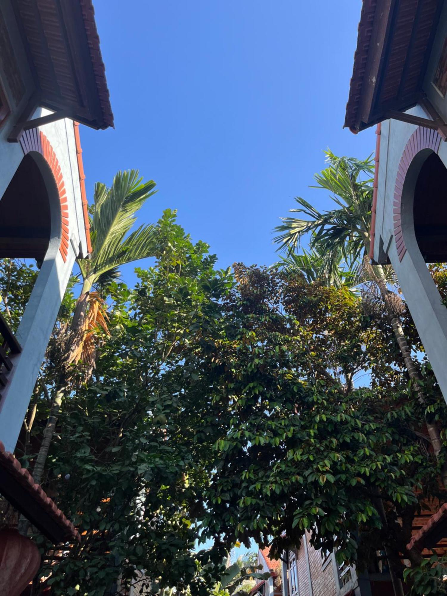Gecko Backpackers Resort *