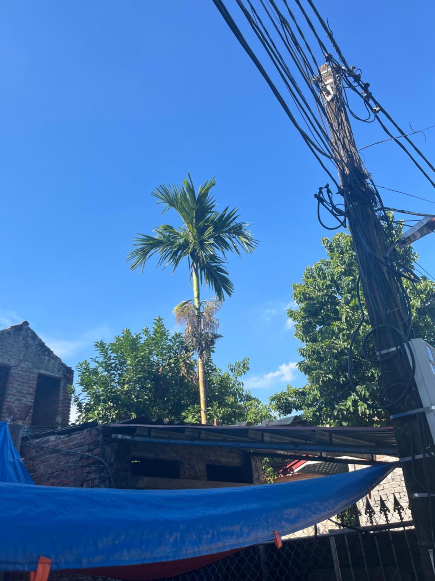 Gecko Backpackers Resort Ninh Binh