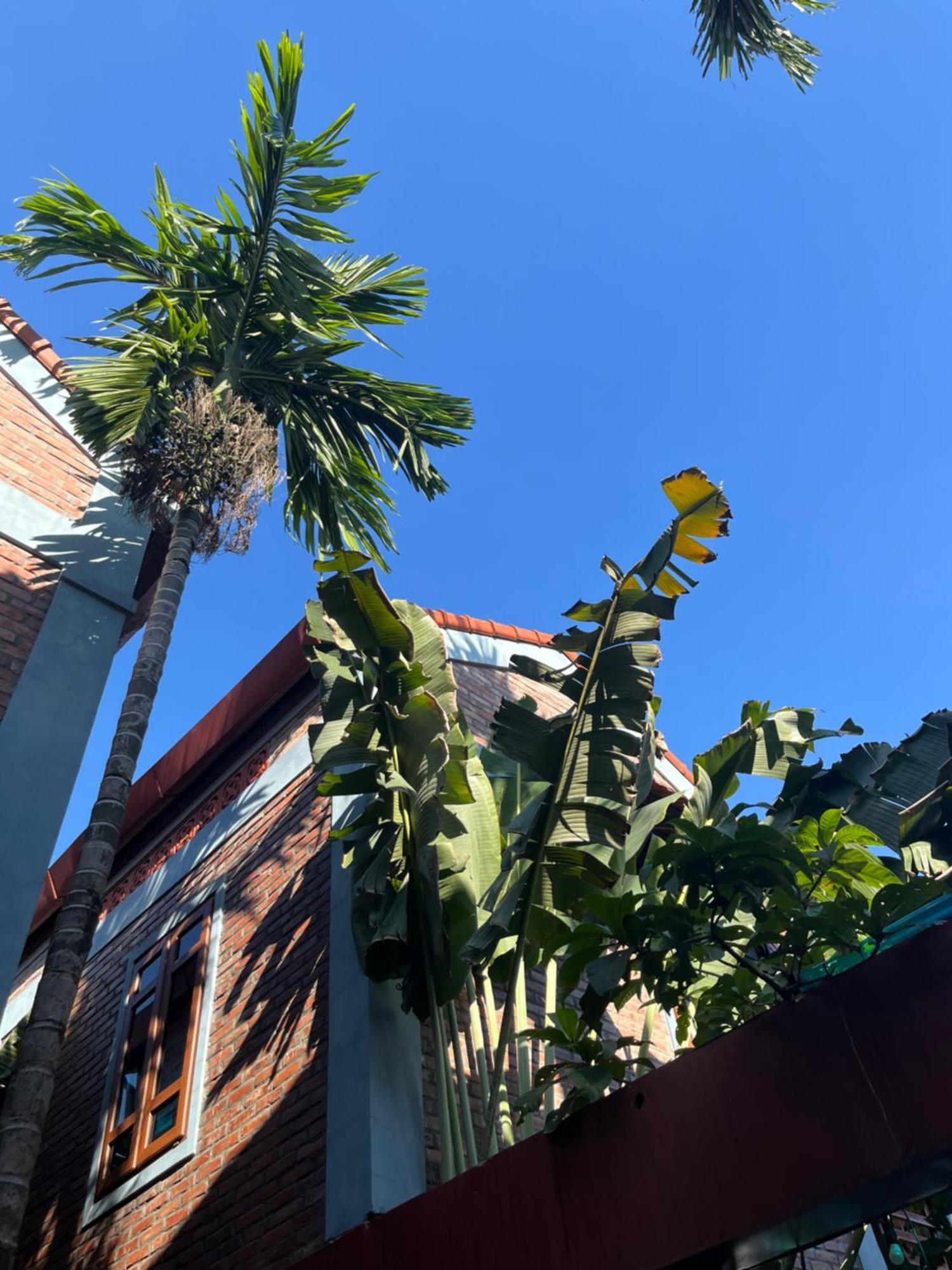 Gecko Backpackers Ninh Binh