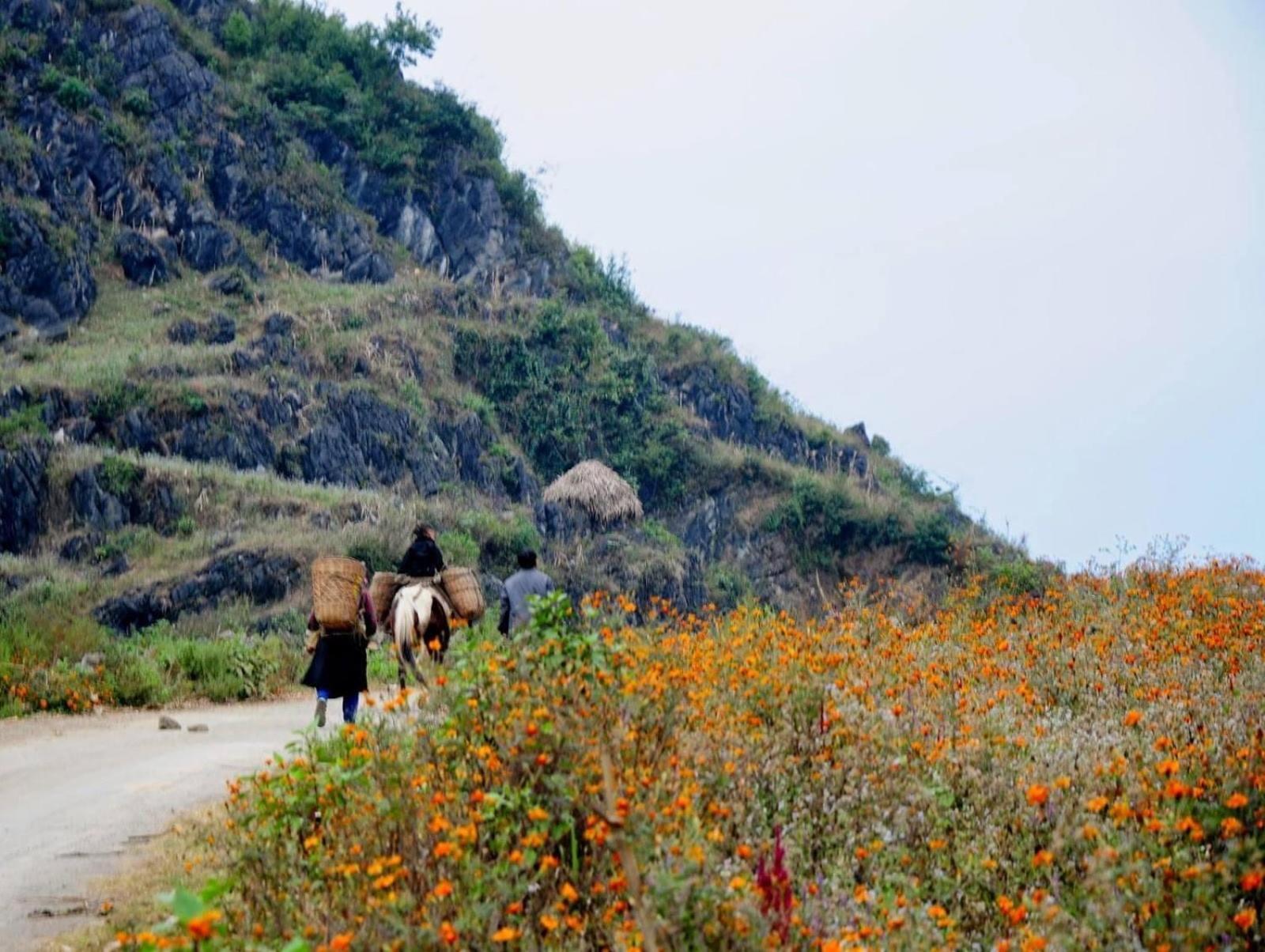 Hang Thuong - Motorbikes And Tour Ha Giang