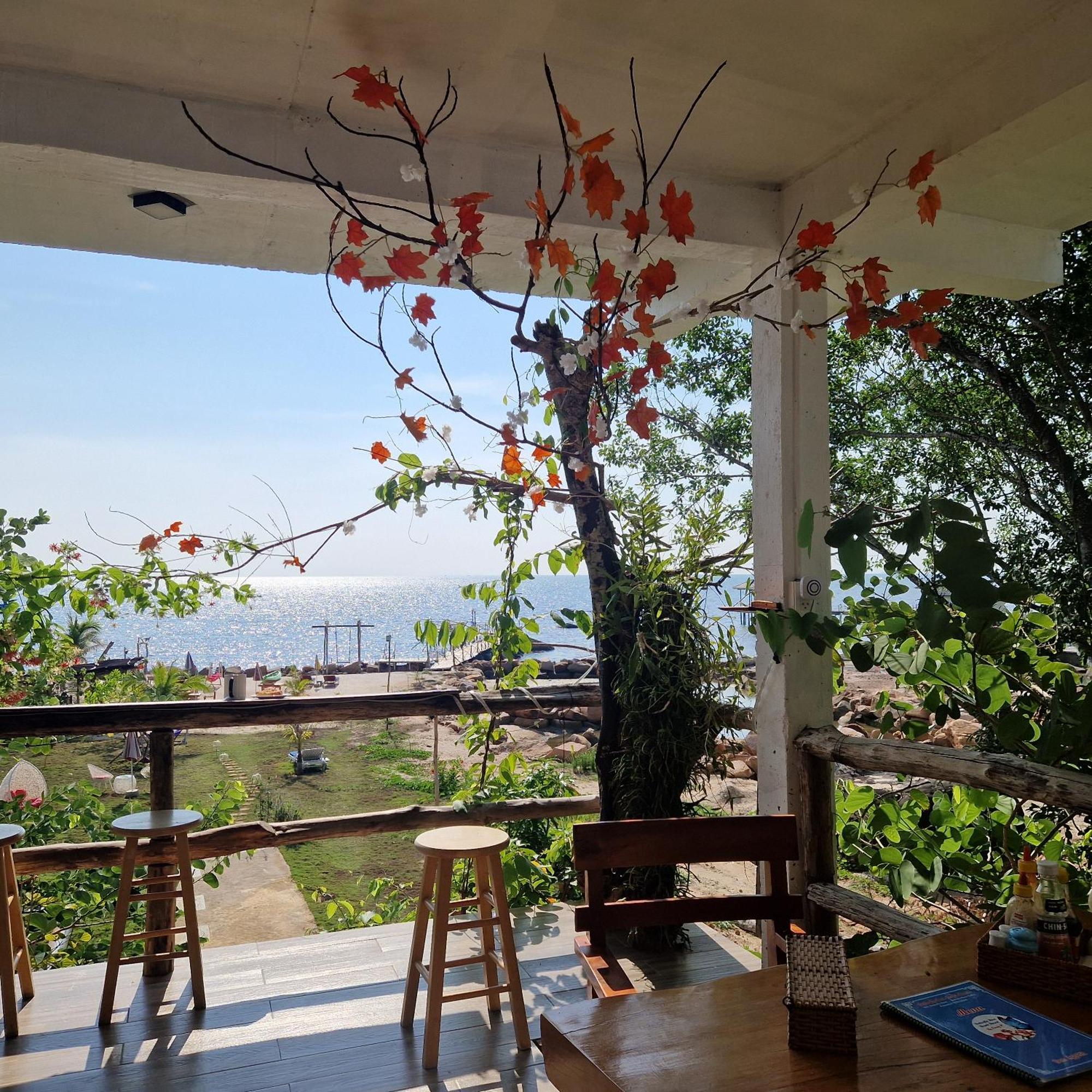Hotel Butterfly Rose Francophone